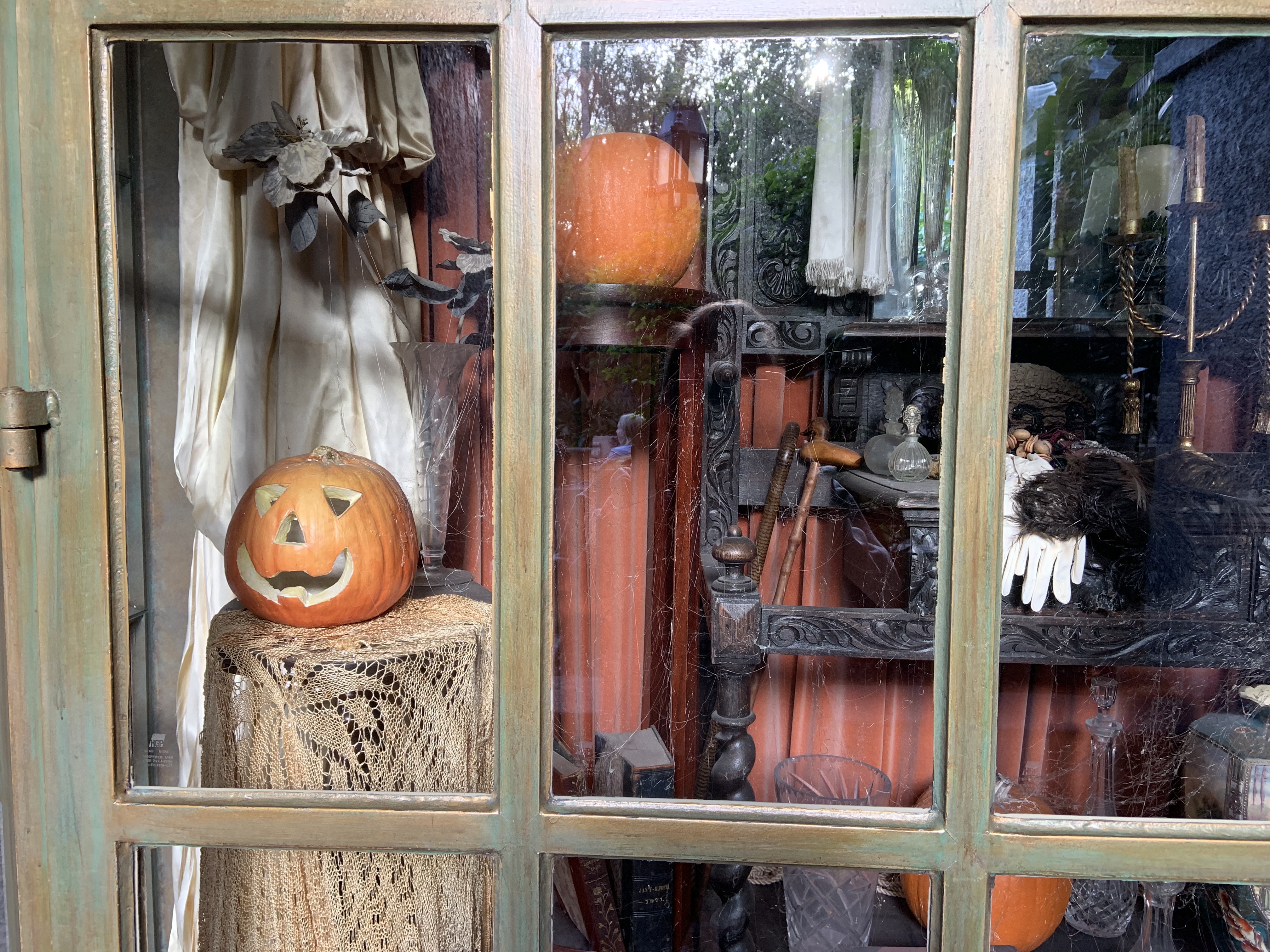 Tower of Terror windows 1/18/20 2