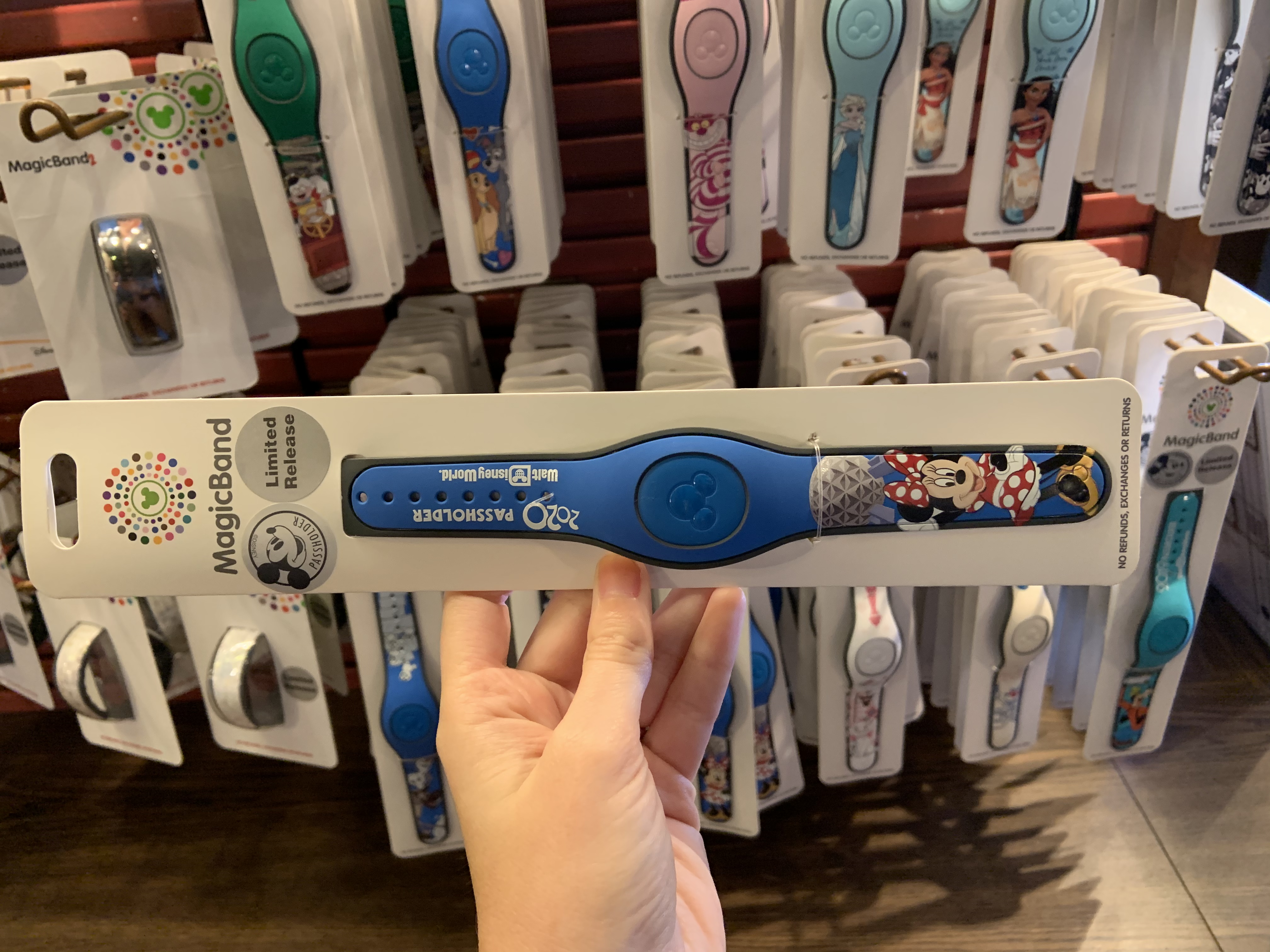 2020 Annual Passholder Band 1/1/20 1