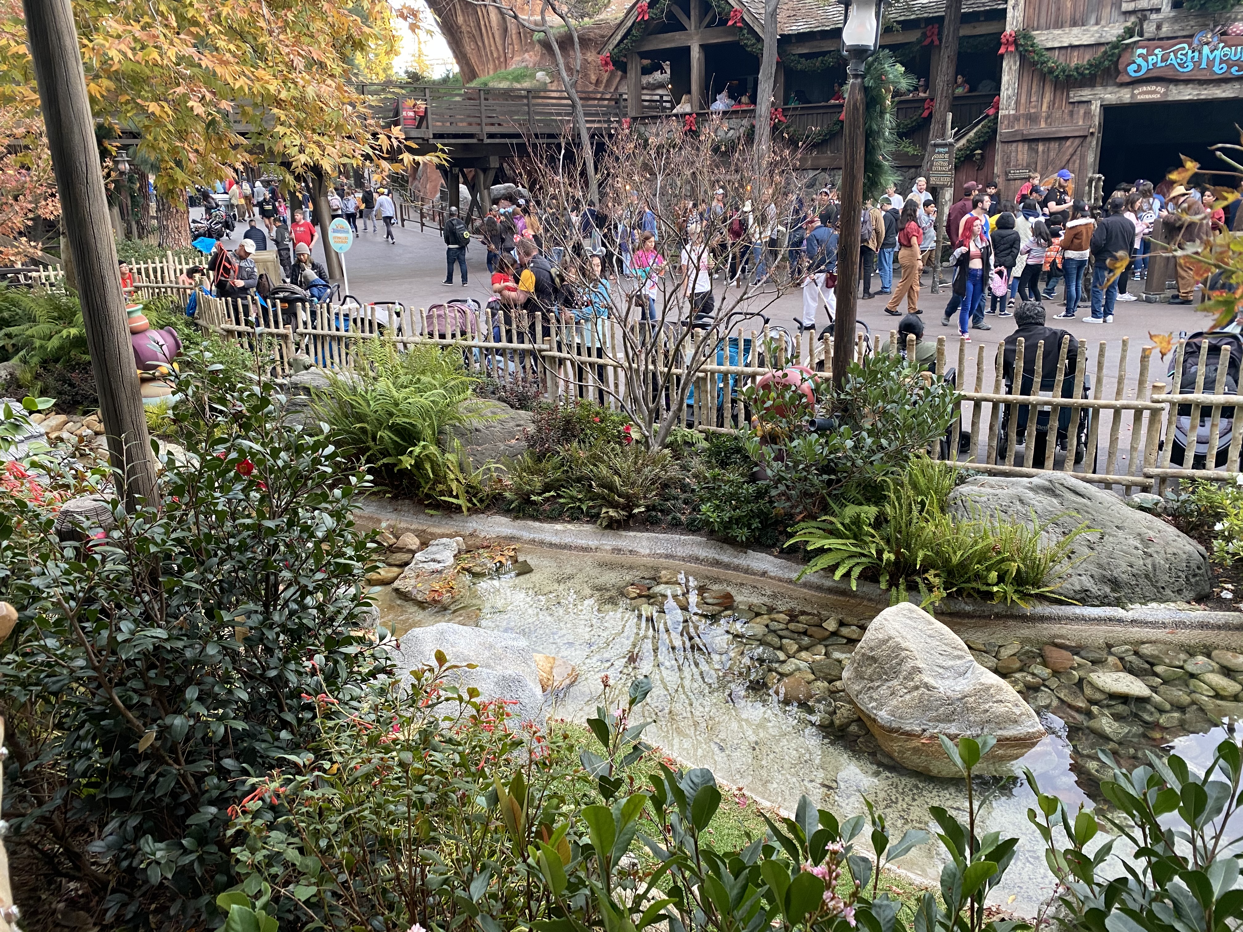 critter country