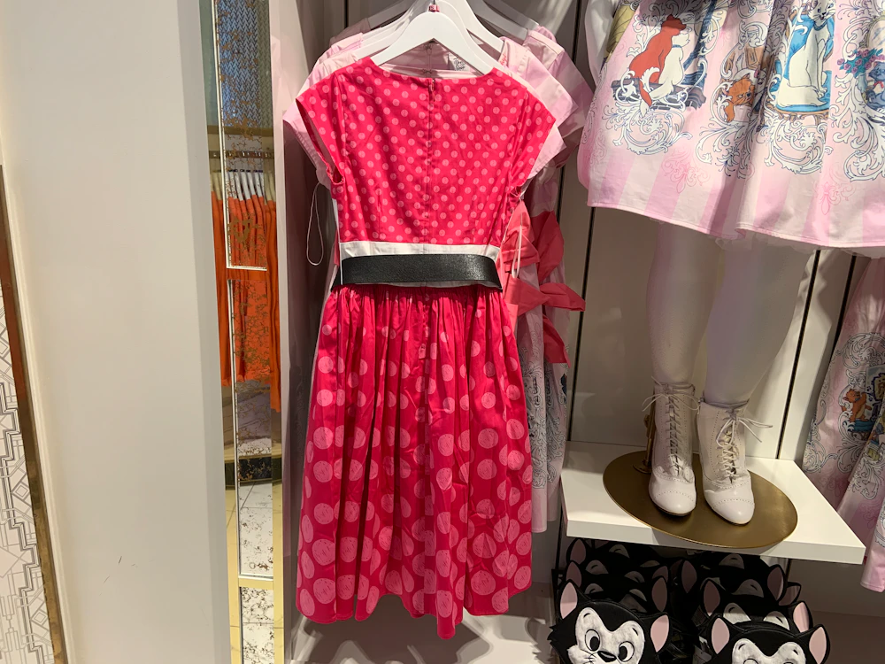 Minnie Mouse Rock the Dots dress 1/18/20 6