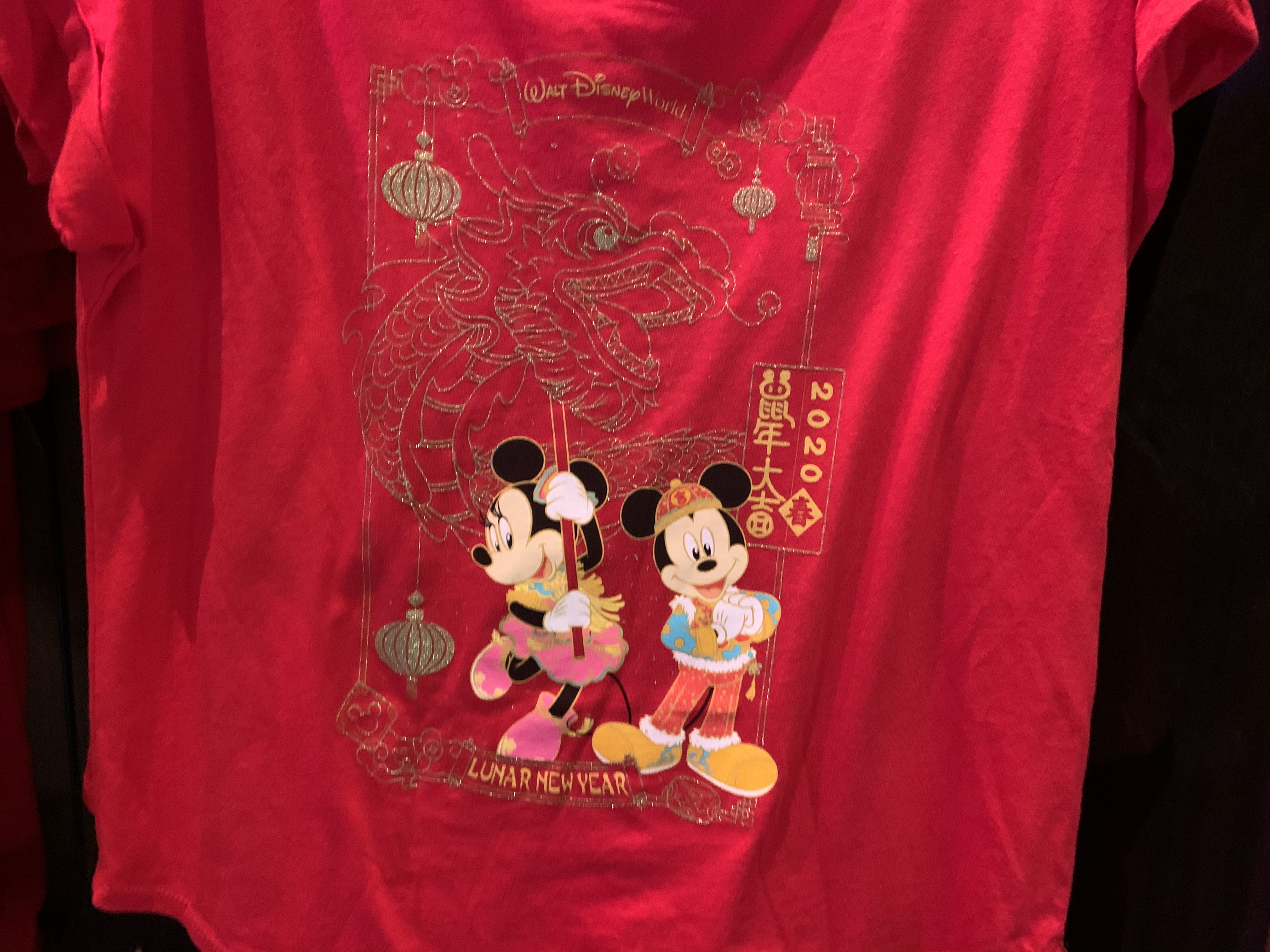 Lunar New Year Disney World 1/20/20 11