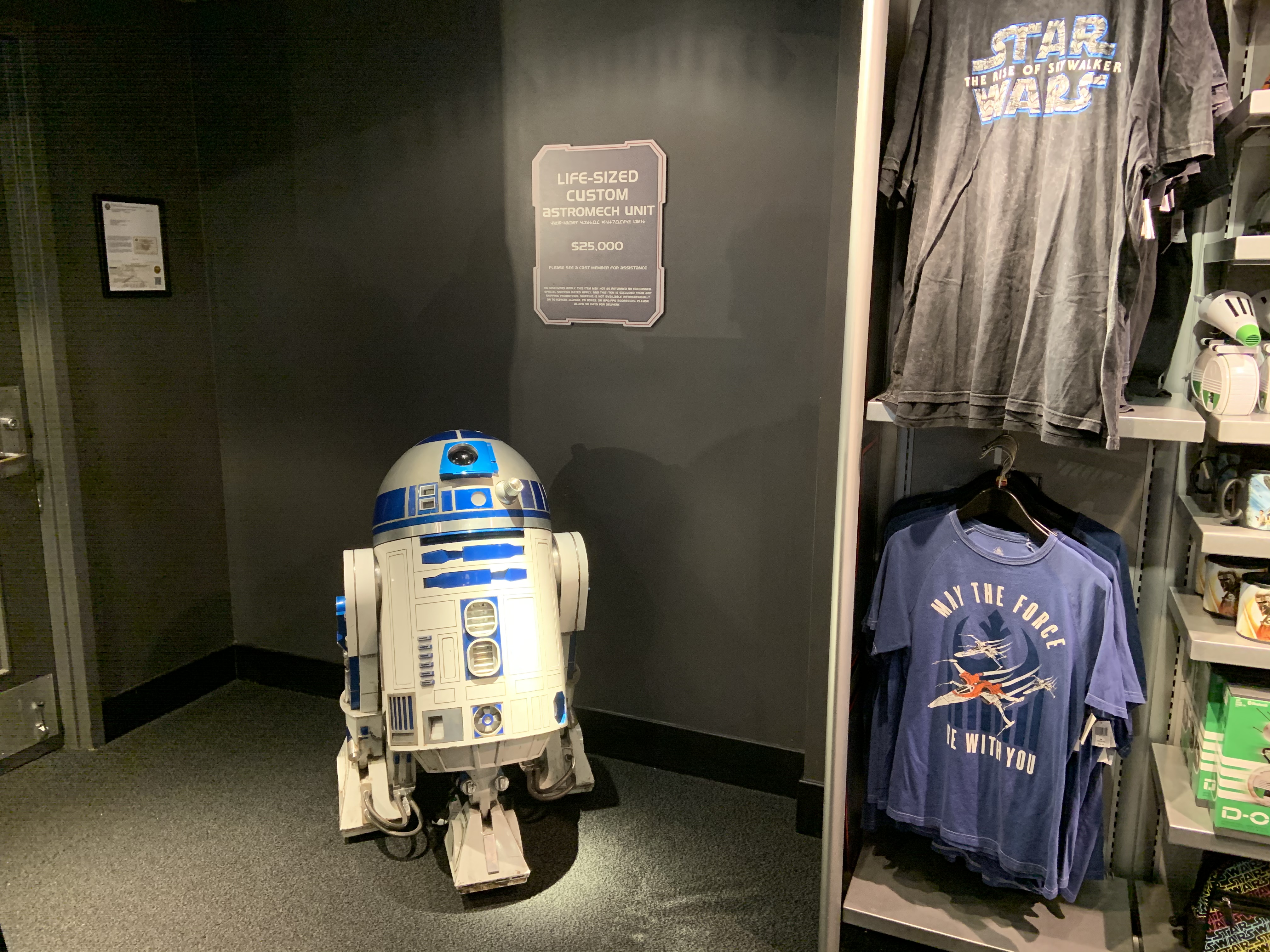 Expensive astromech 1/18/20 1