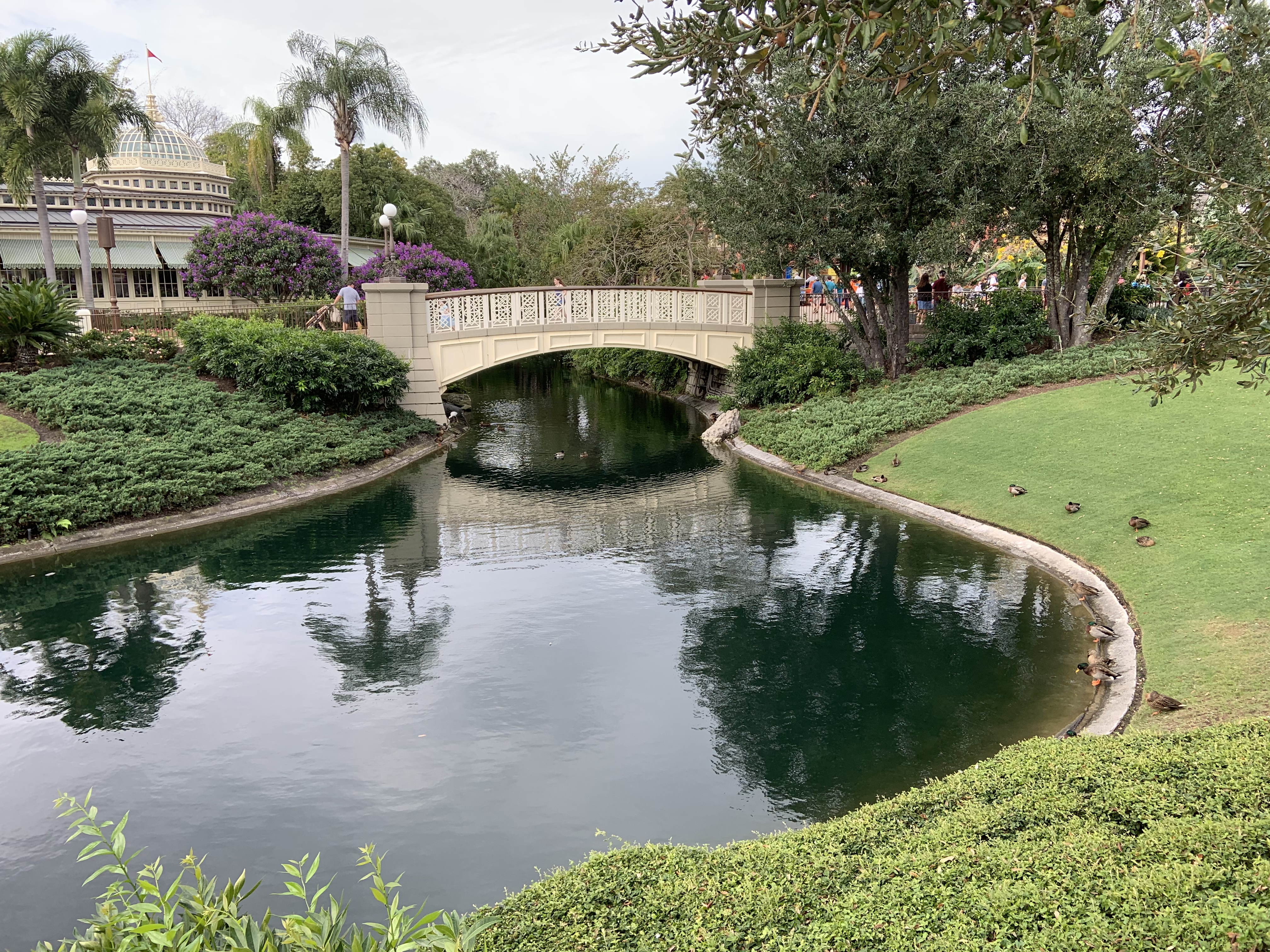 Duck meeting 1/19/20 1