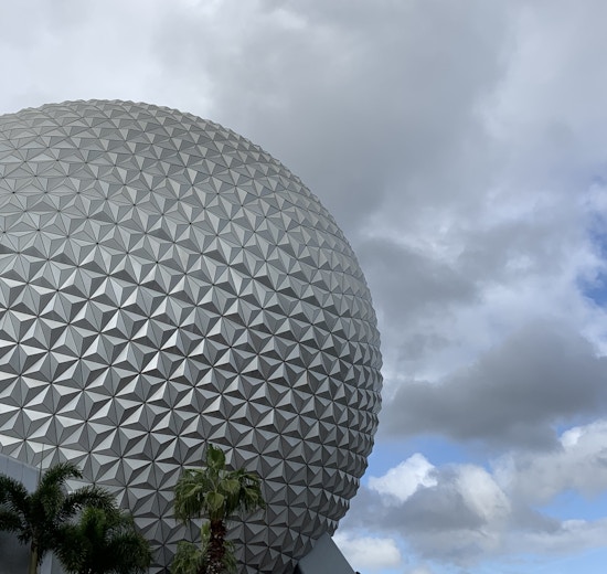 EPCOT ball 1/11/20