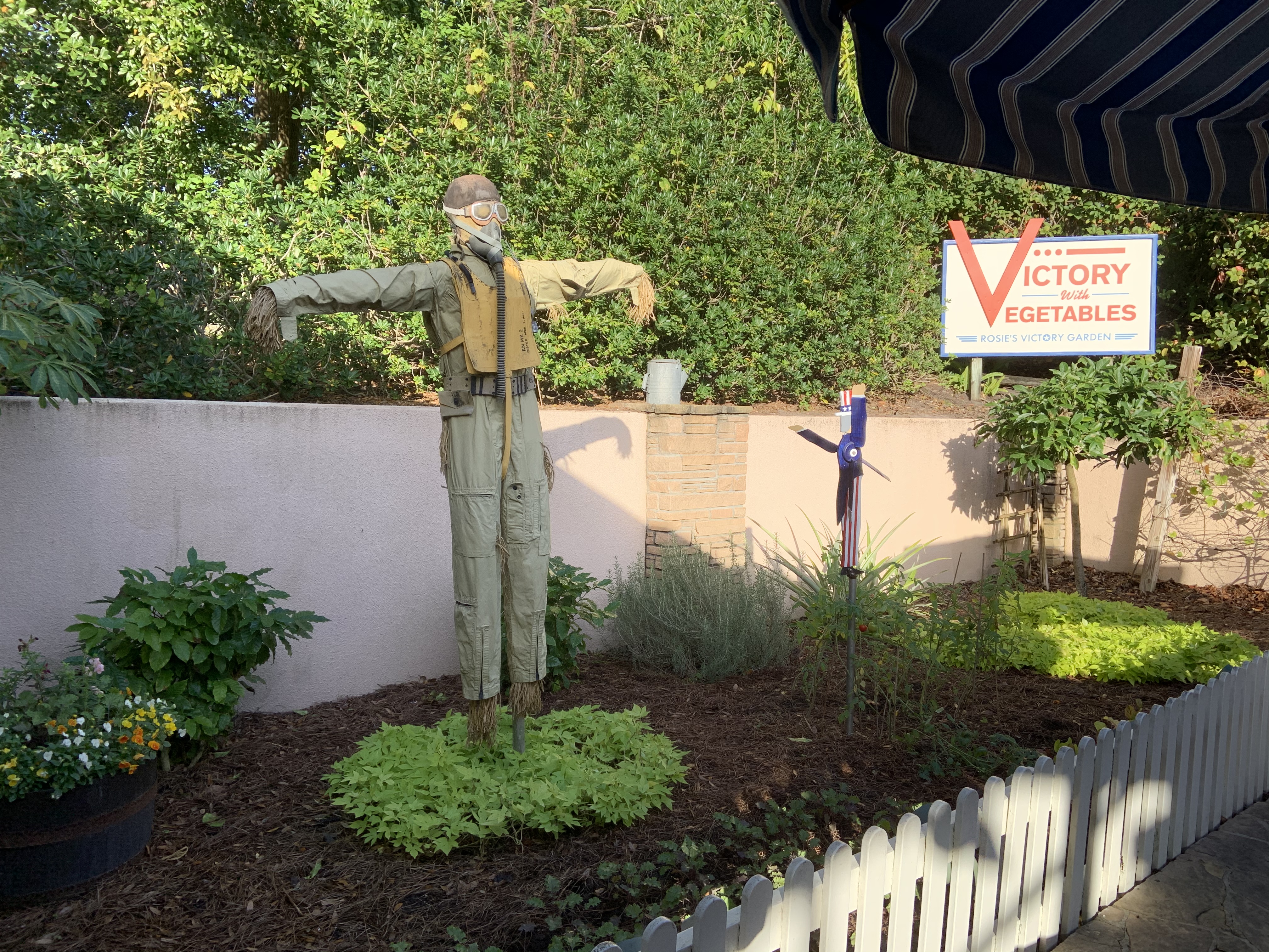 Victory Garden 1/18/20