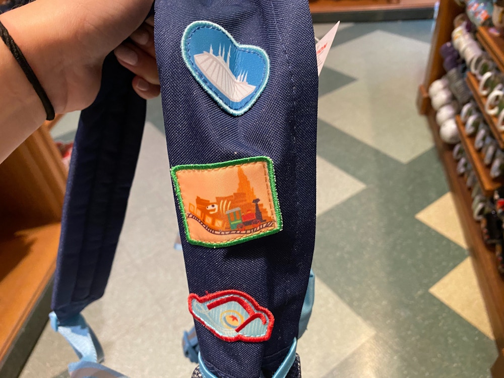 Disneyland Backpack