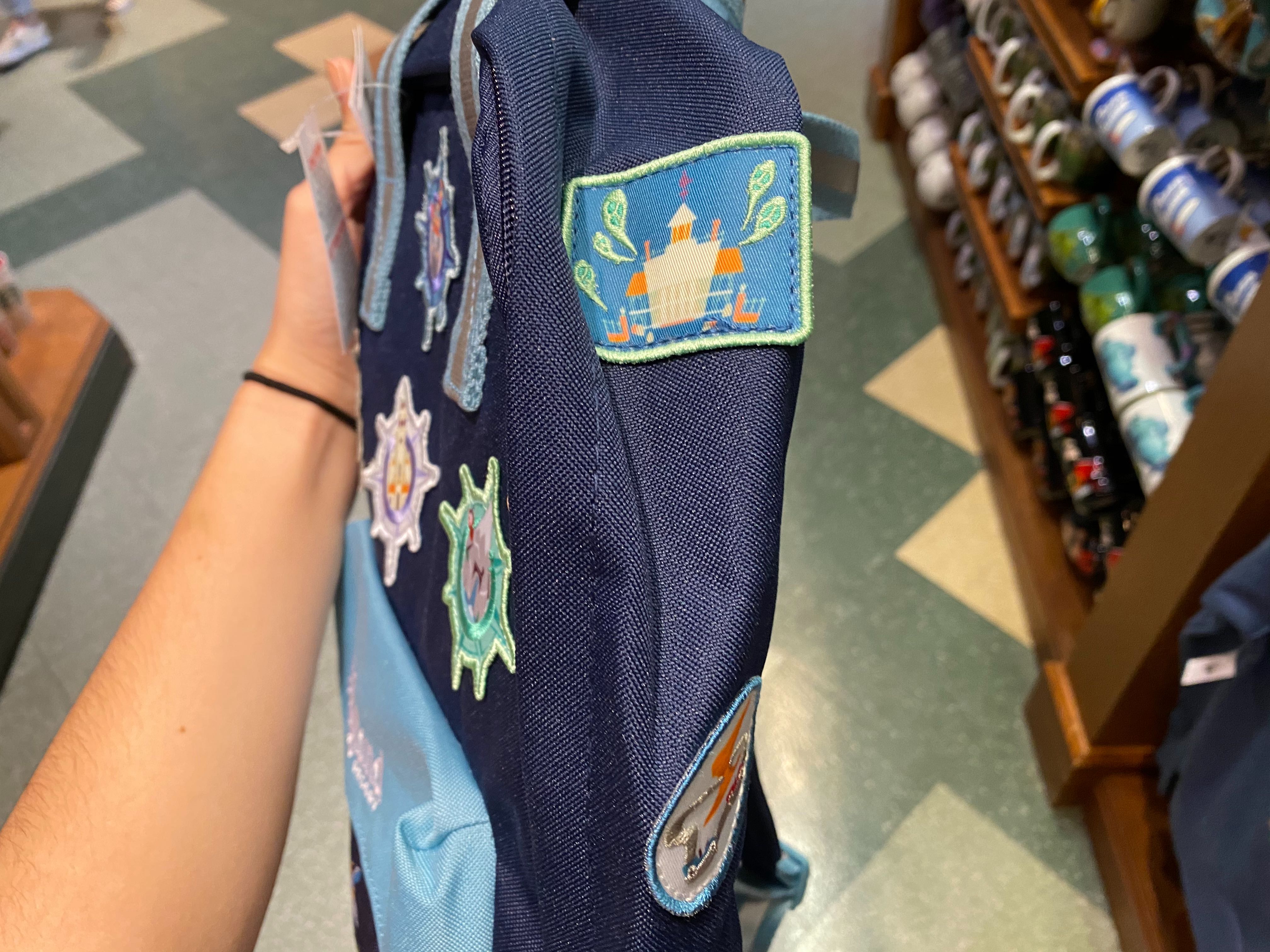 Disneyland Backpack