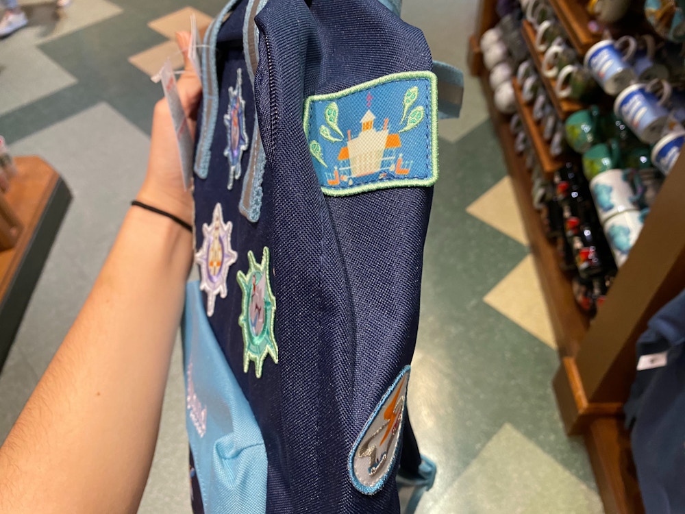 Disneyland Backpack