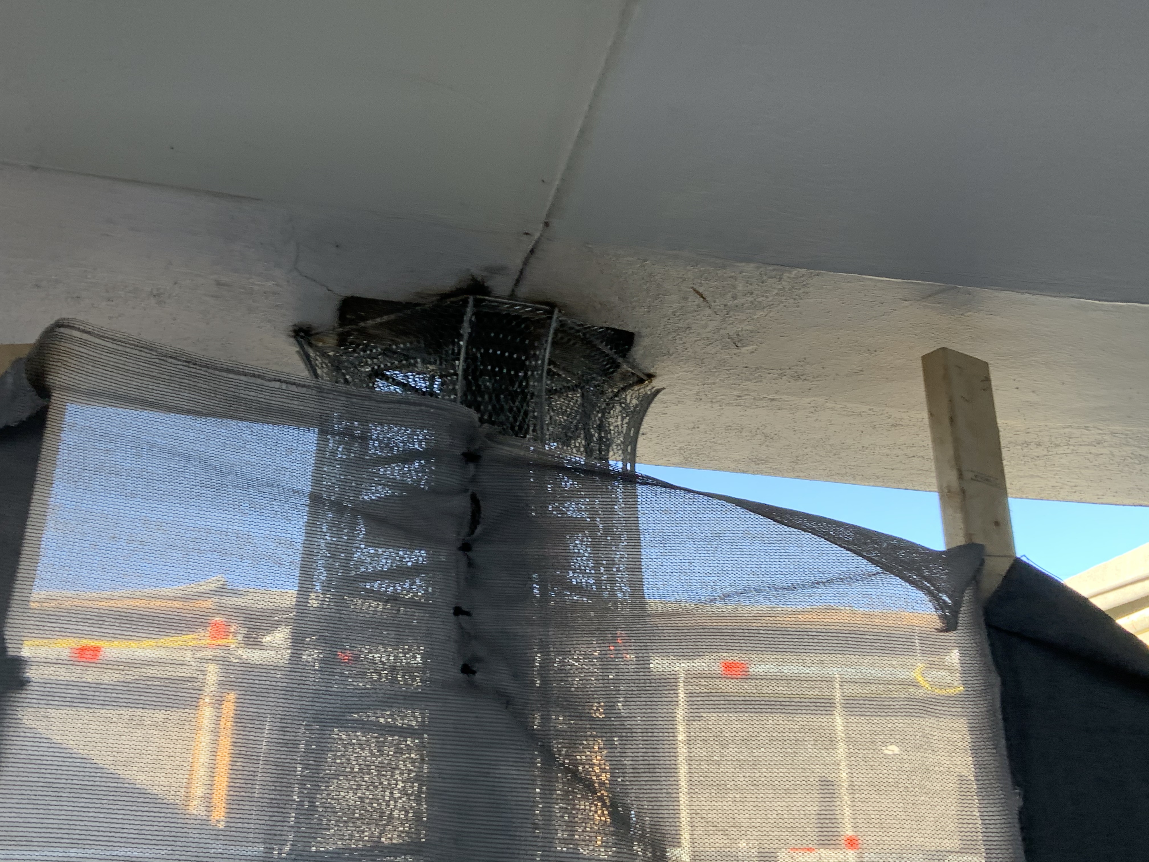 Posts in Tomorrowland 1/1/20 2