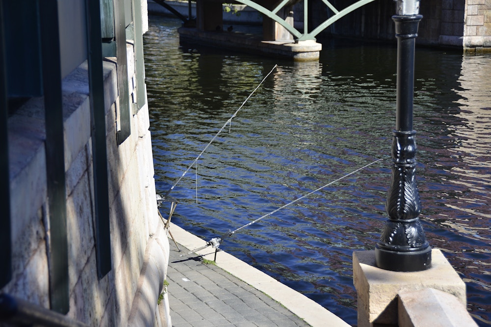 EPCOT Photo Report 1 20 20 Fishing Poles.JPG?auto=compress%2Cformat&fit=scale&h=667&ixlib=php 1.2