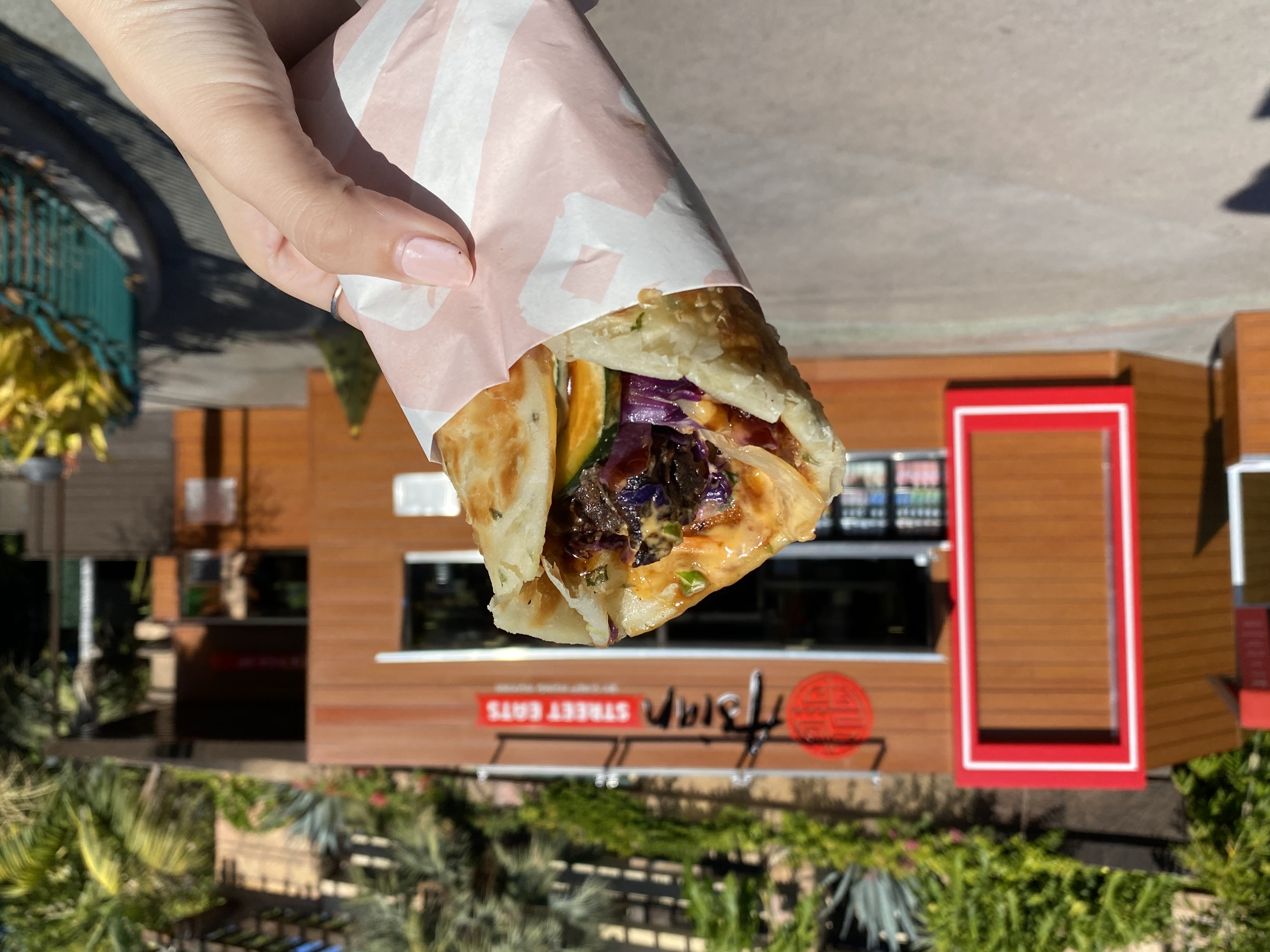 asian street eats dl