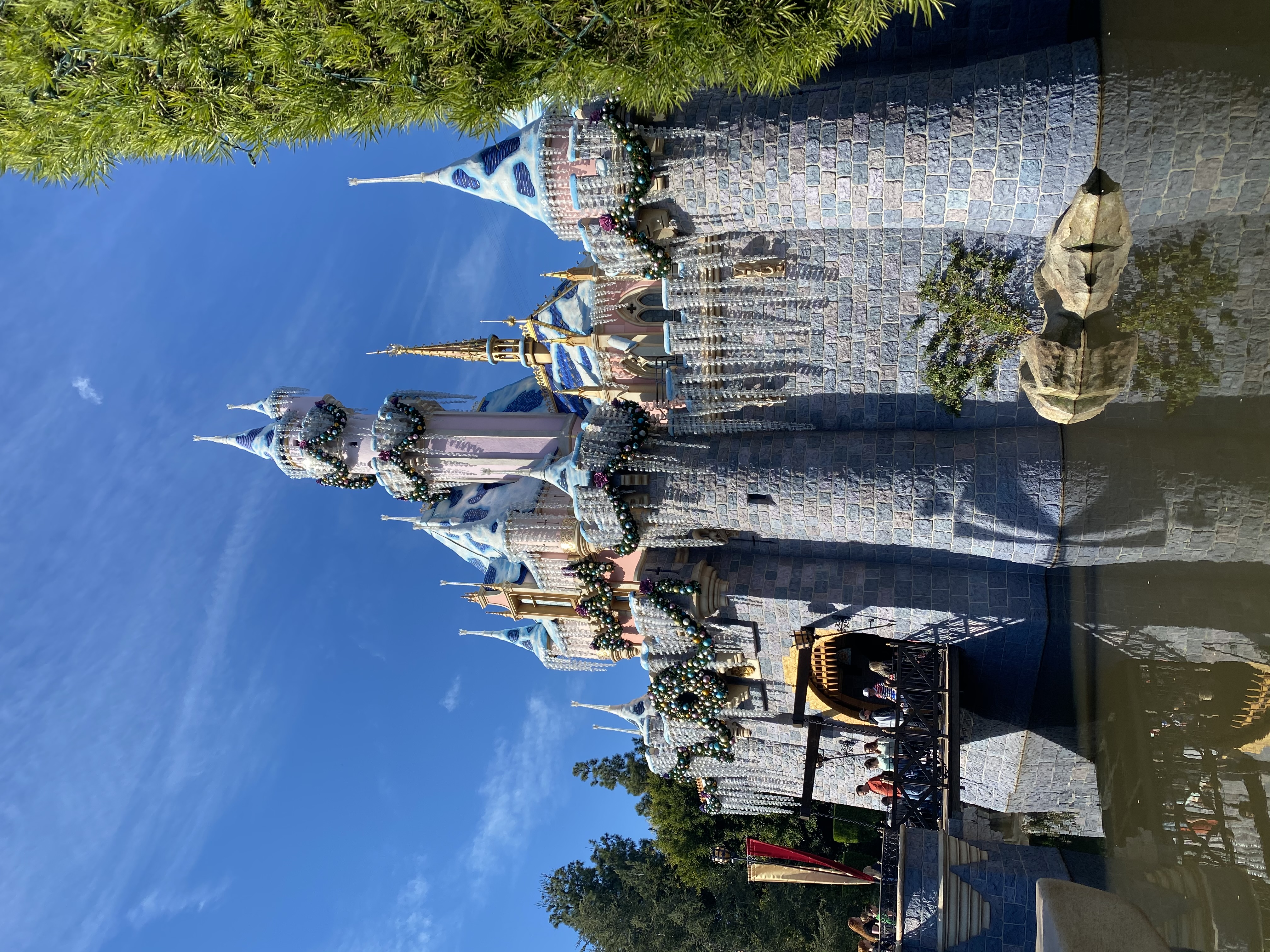 sleeping beauty castle