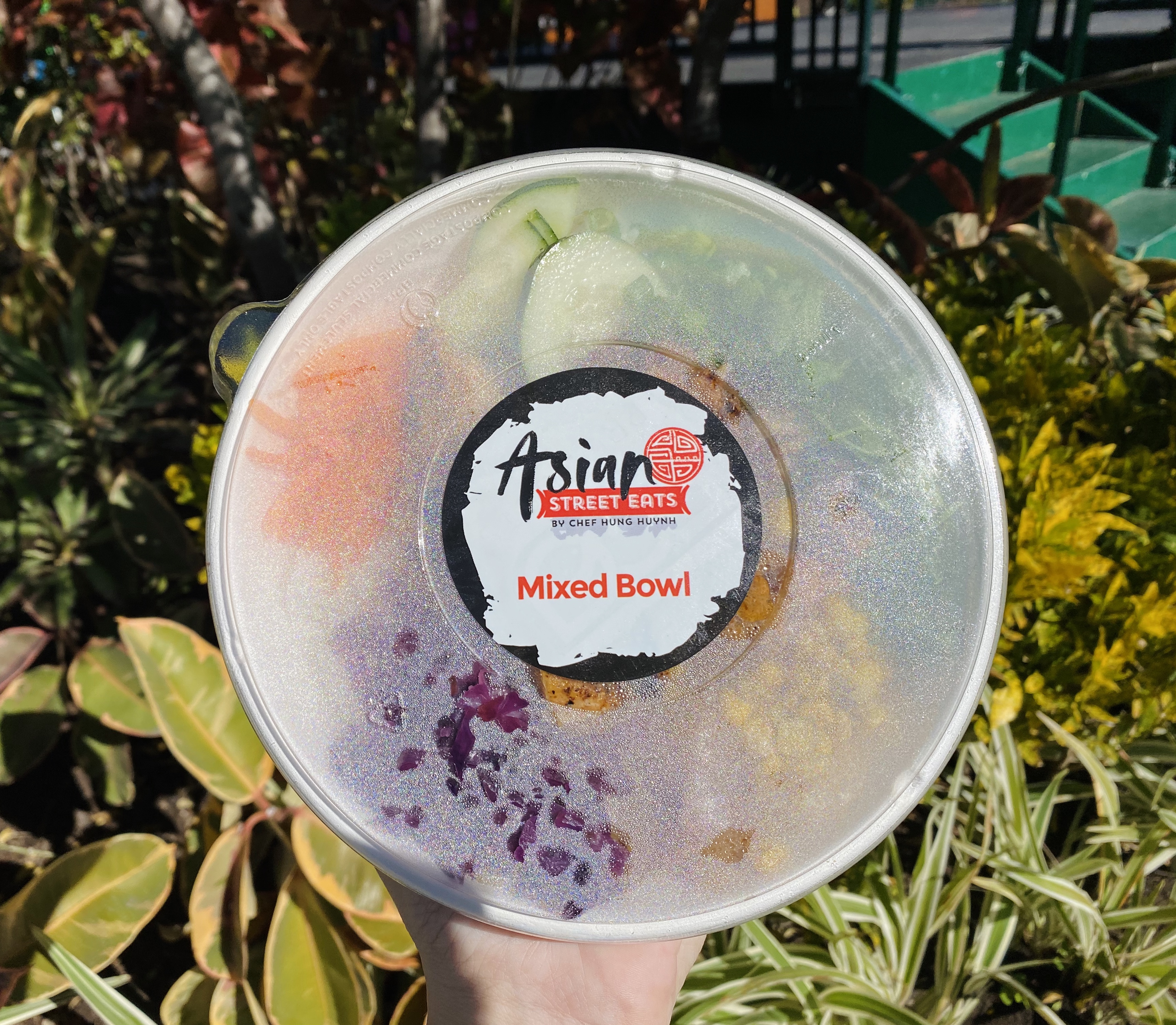 asian street eats dl