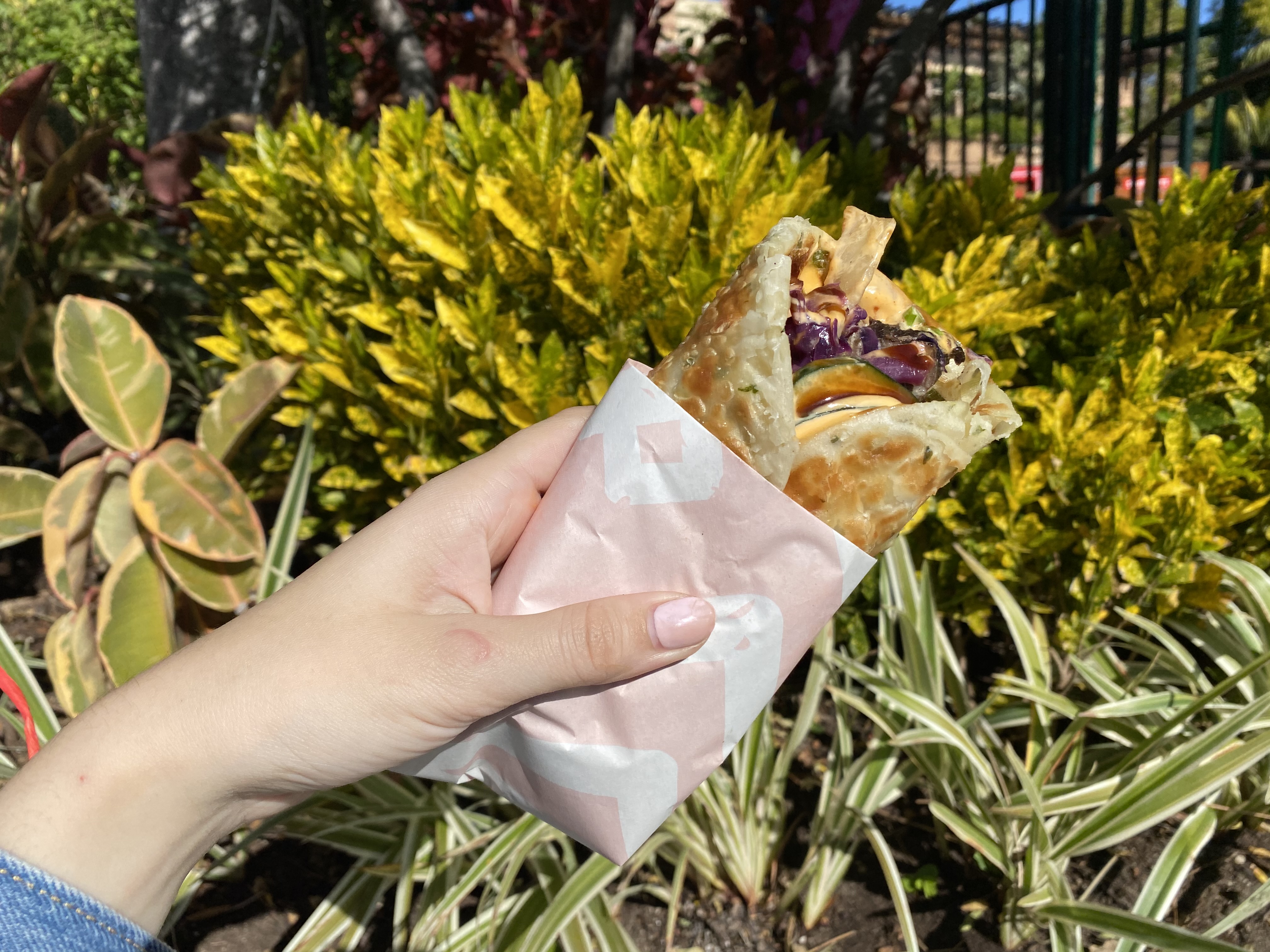 asian street eats dl