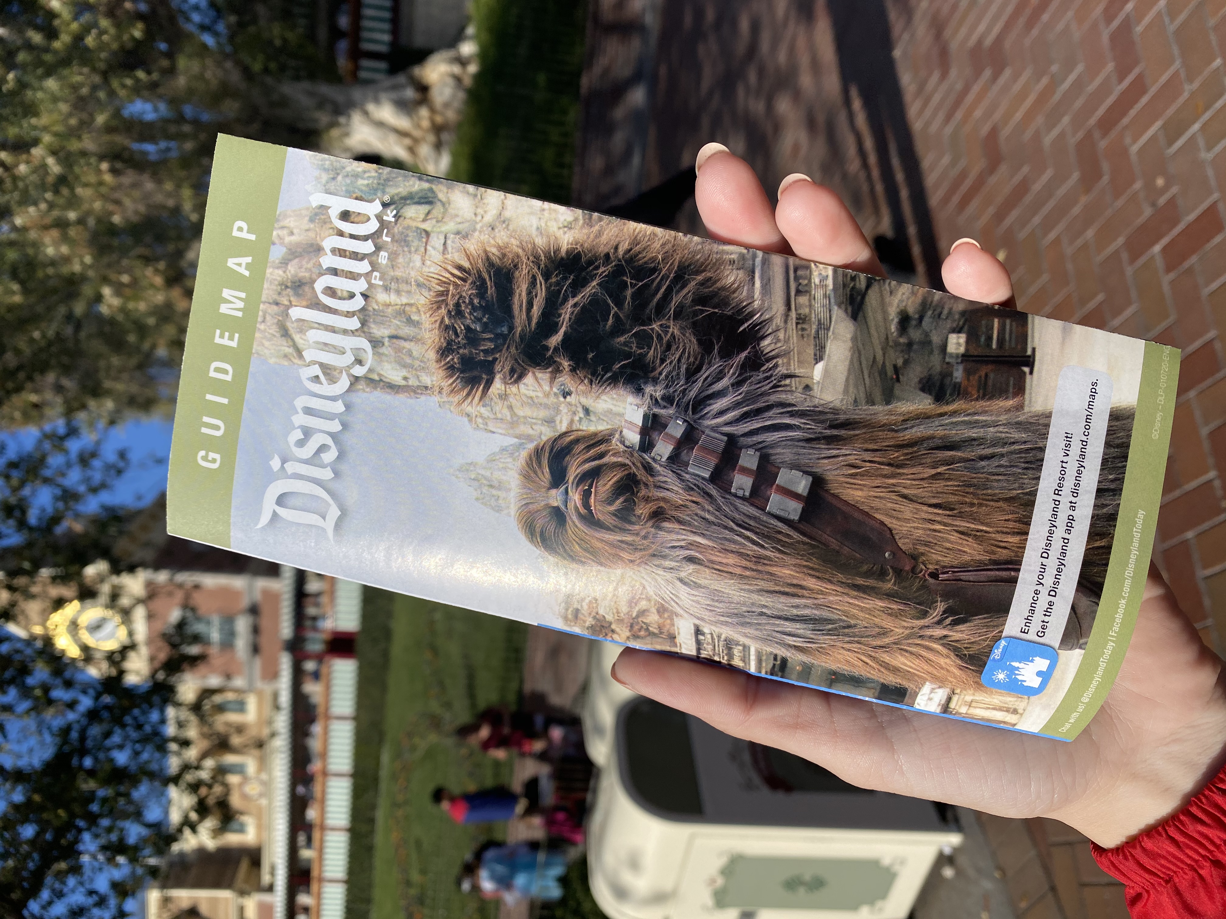 disneyland guide map