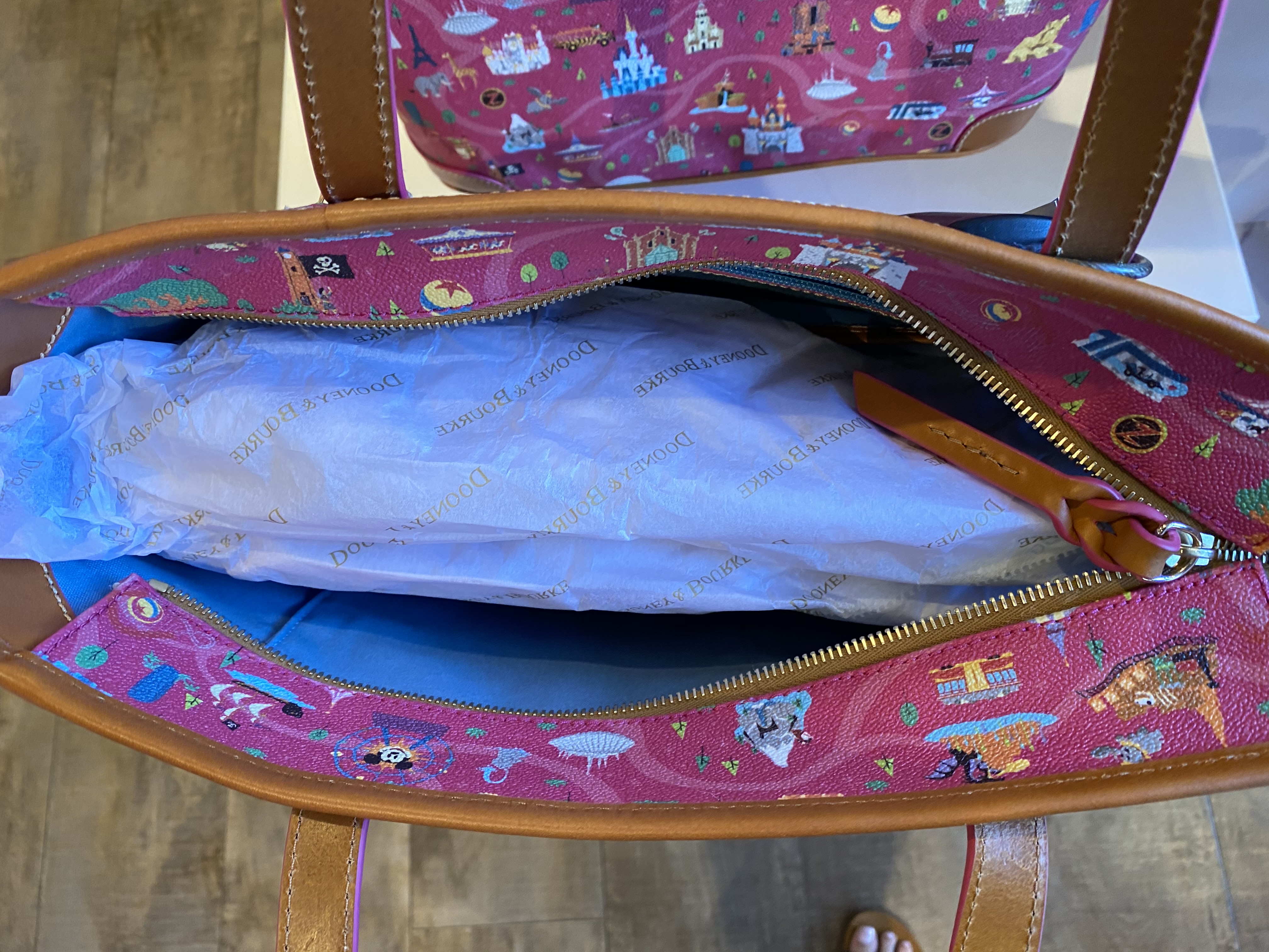 downtown disney DL 2020