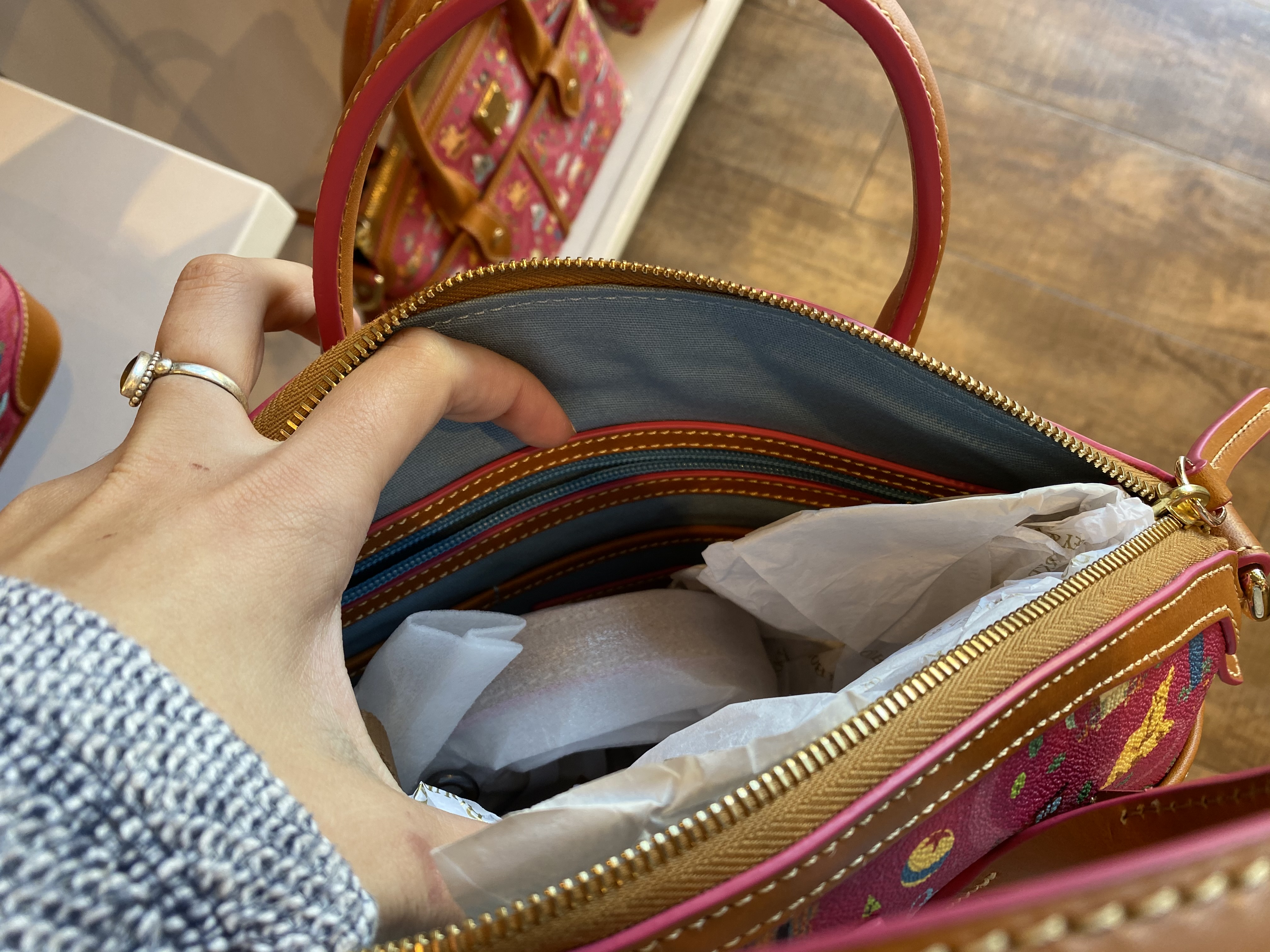 downtown disney DL 2020