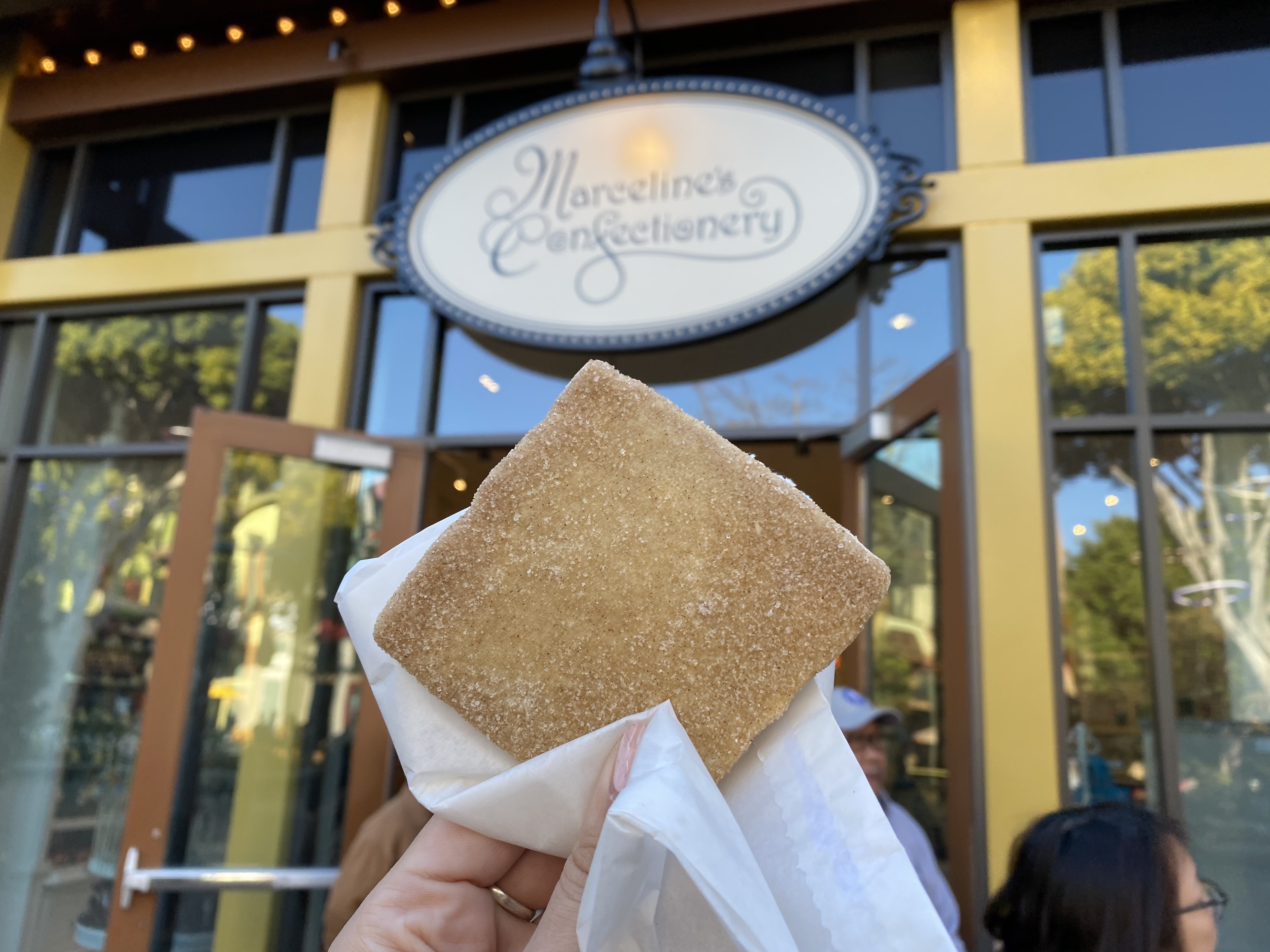 downtown disney DL 2020