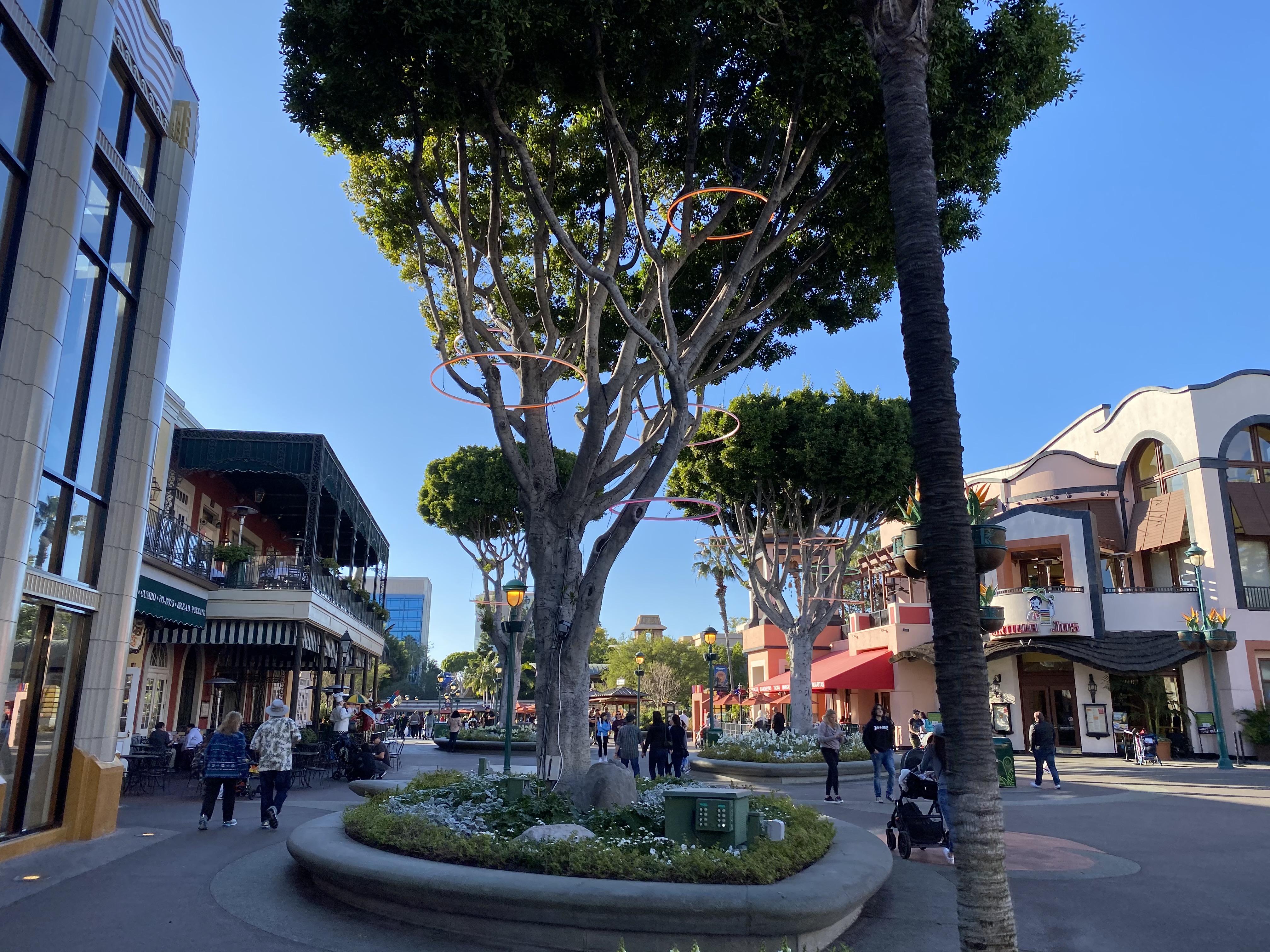 downtown disney DL 2020