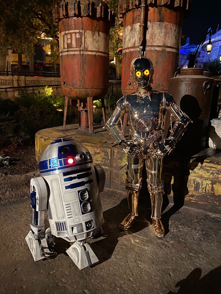 R2D2 and C3PO Disneyland After Dark: 80's Nite