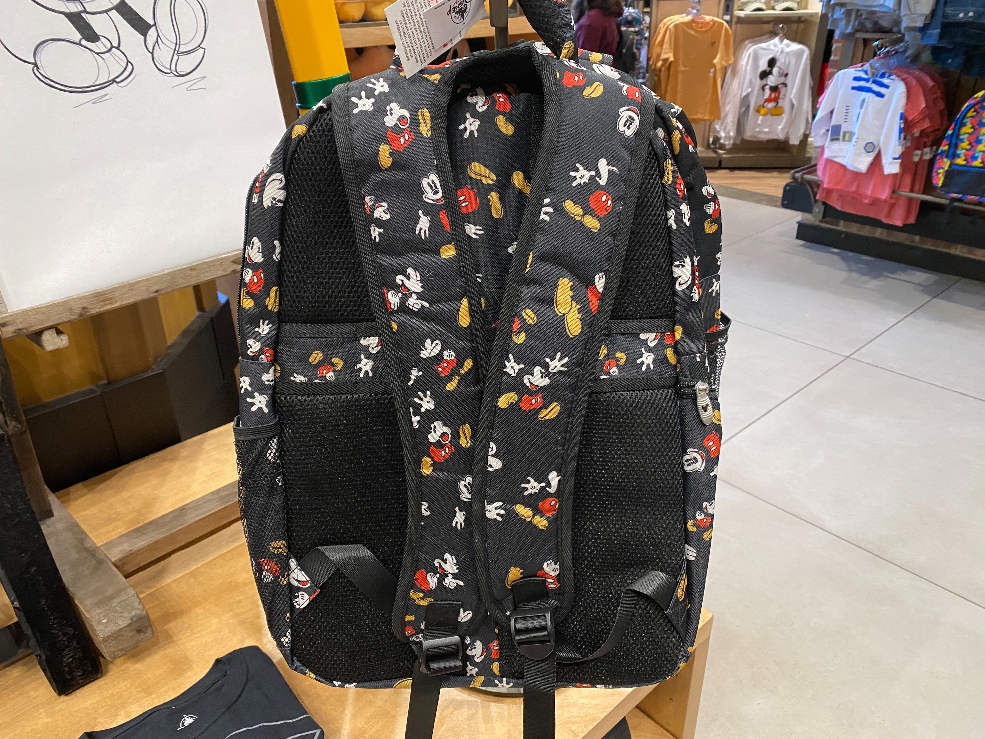 Disneyland Resort Backpack