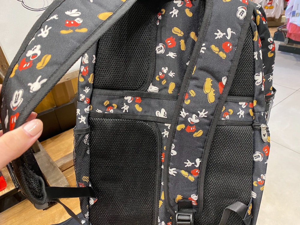 Disneyland Resort Backpack