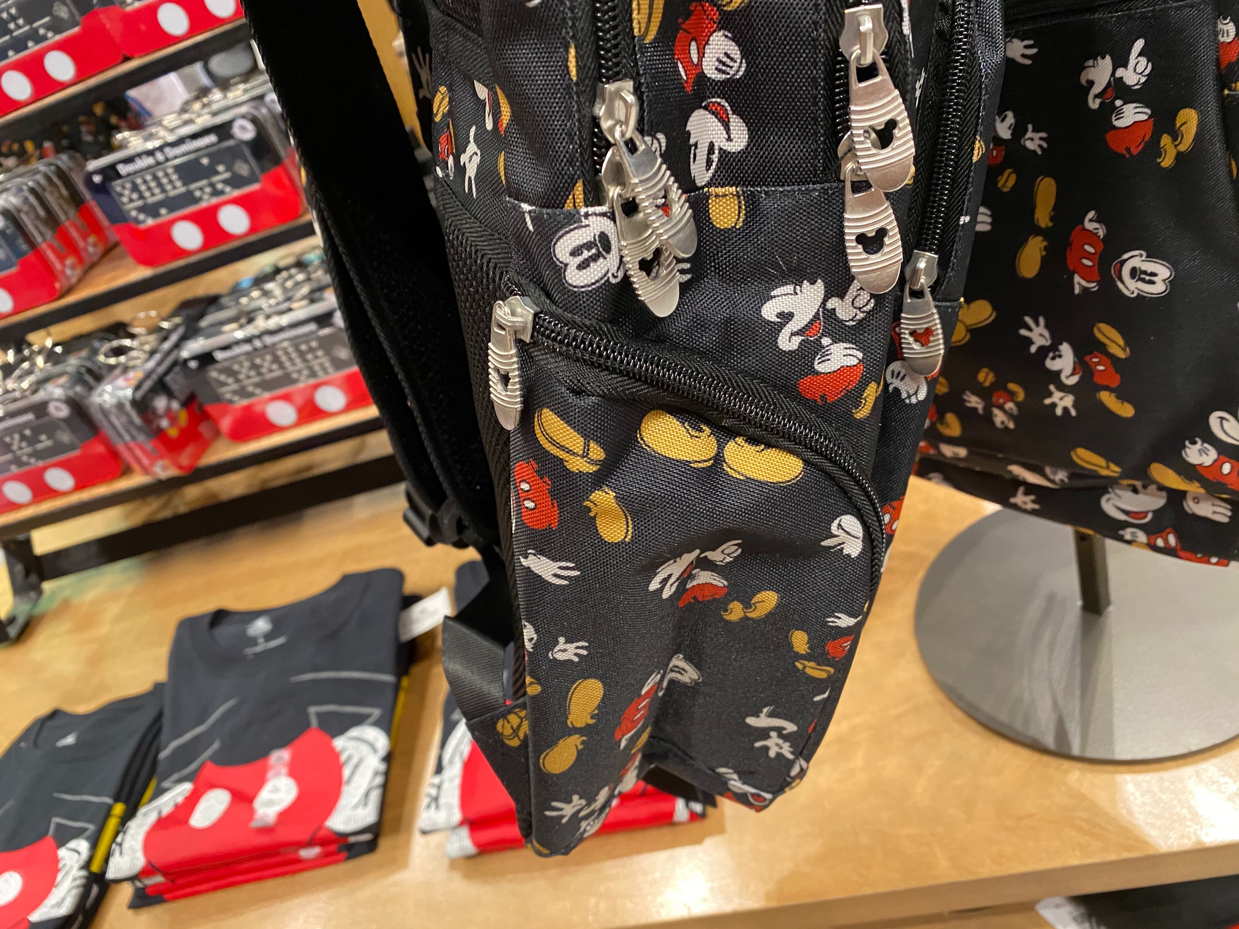 Disneyland Resort Backpack