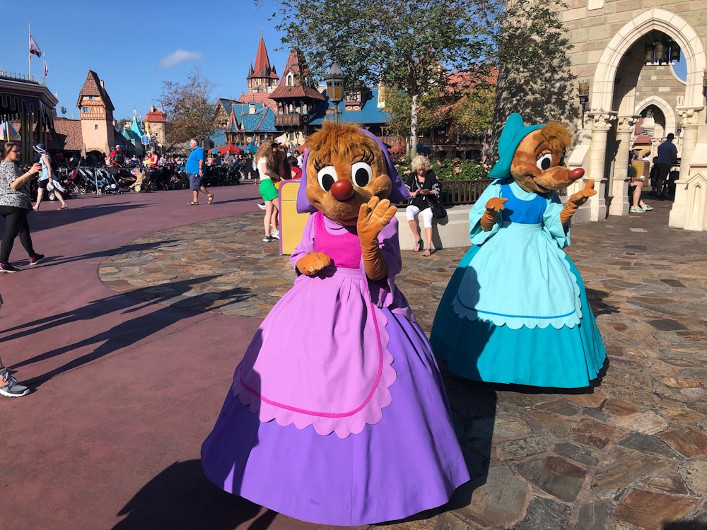 Magic Kingdom Photo Report Jan13 2020 22.jpg?auto=compress%2Cformat&fit=scale&h=750&ixlib=php 1.2