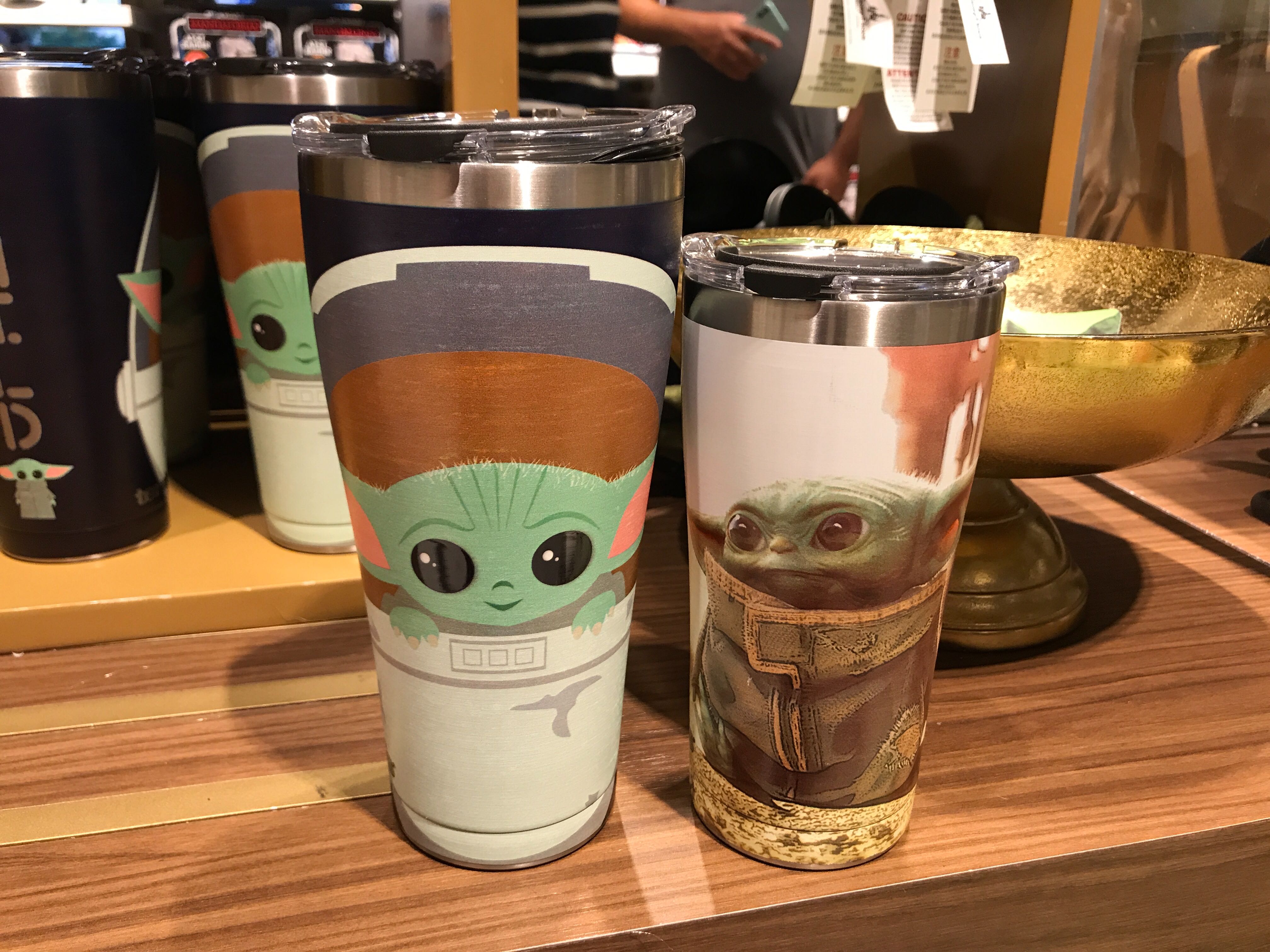 disney tervis