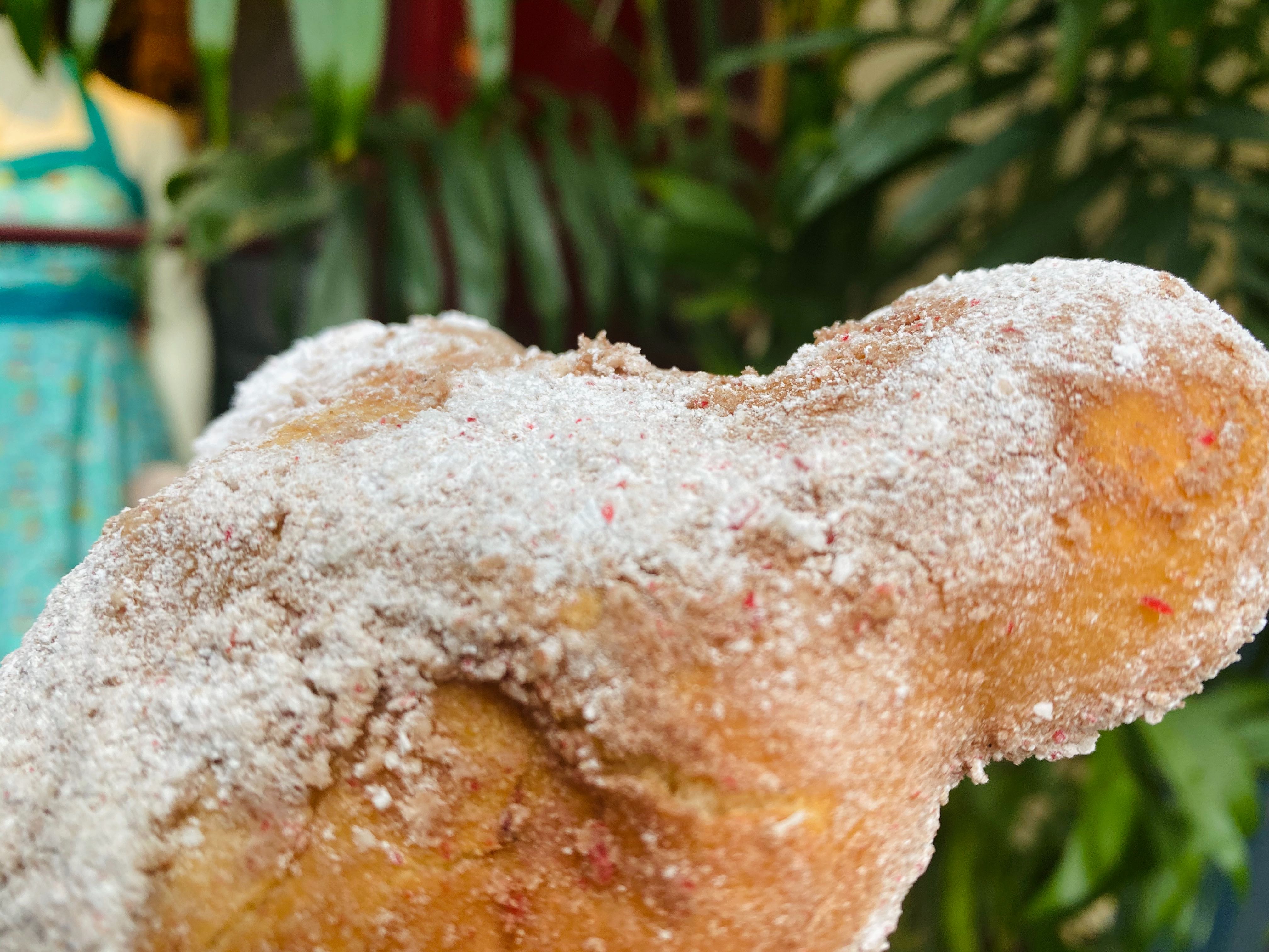 beignet-disneyland-01-30-2020-1.jpg