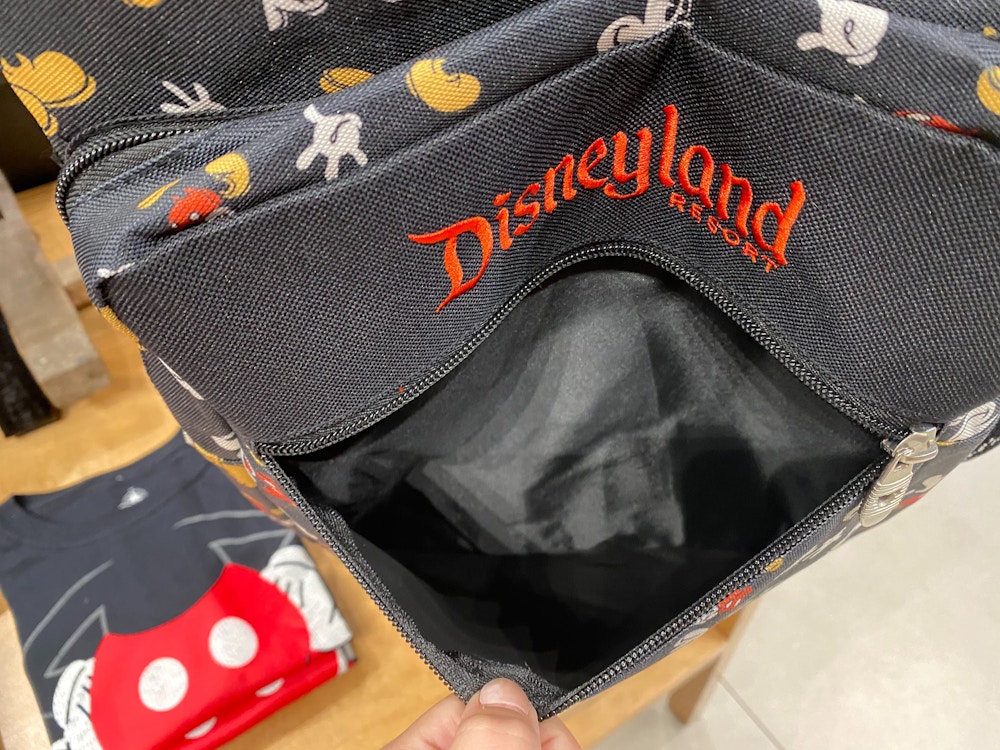 Disneyland Resort Backpack