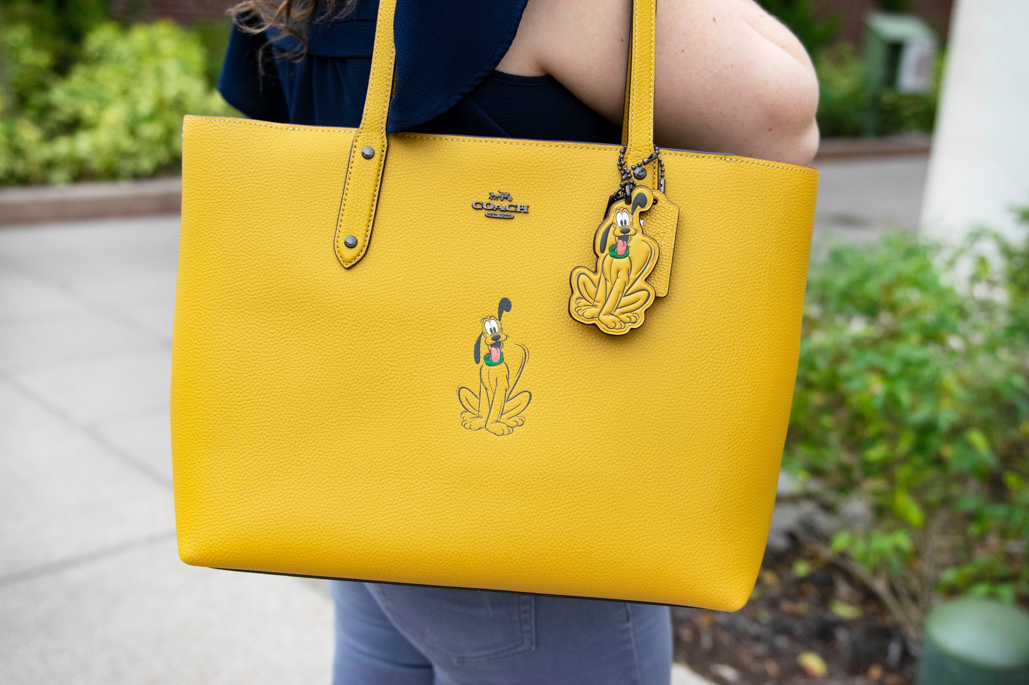 disney coach pluto purse