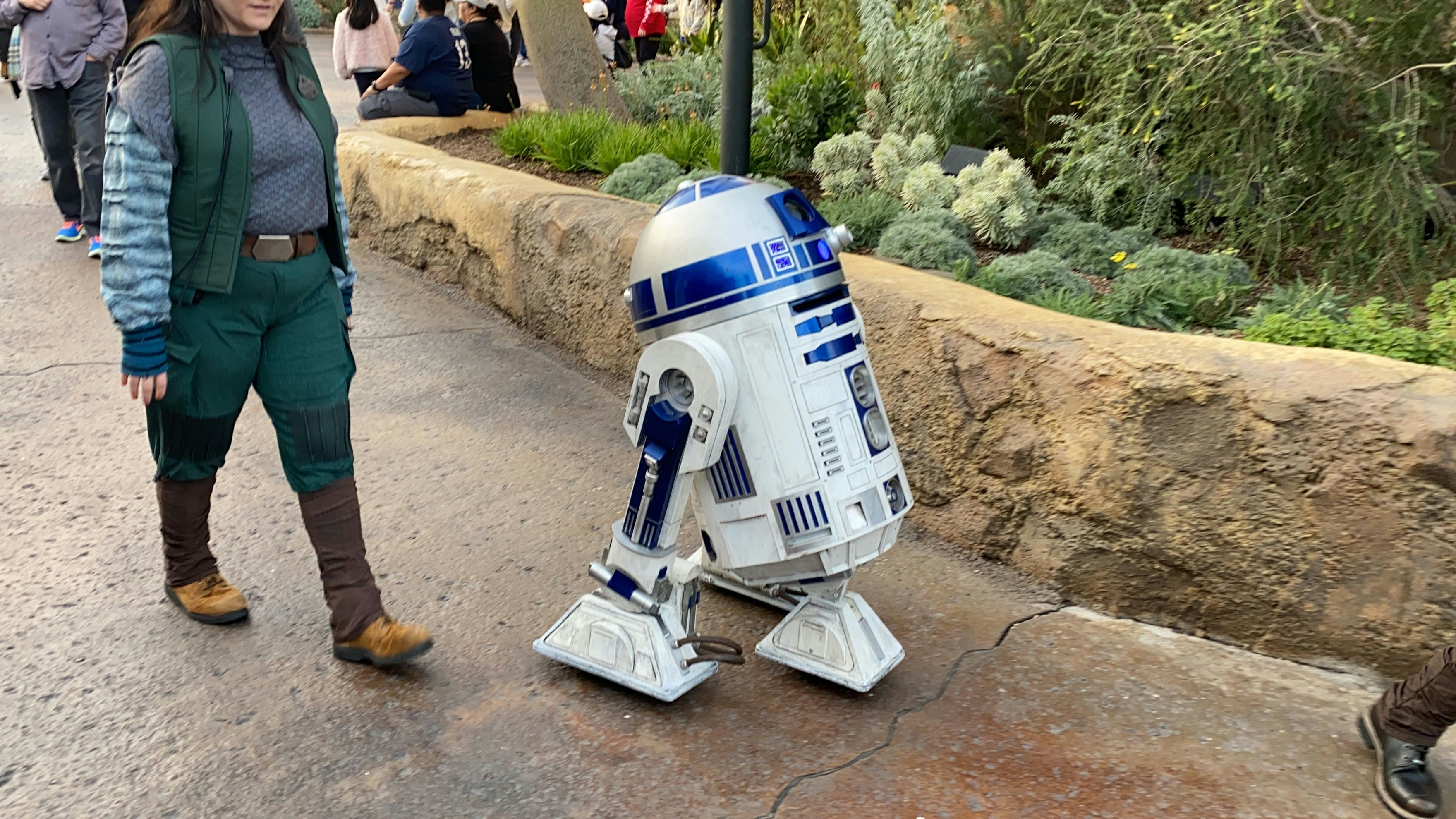 r2d2 droid testing disneyland jan 2020 12.jpg?auto=compress%2Cformat&ixlib=php 1.2