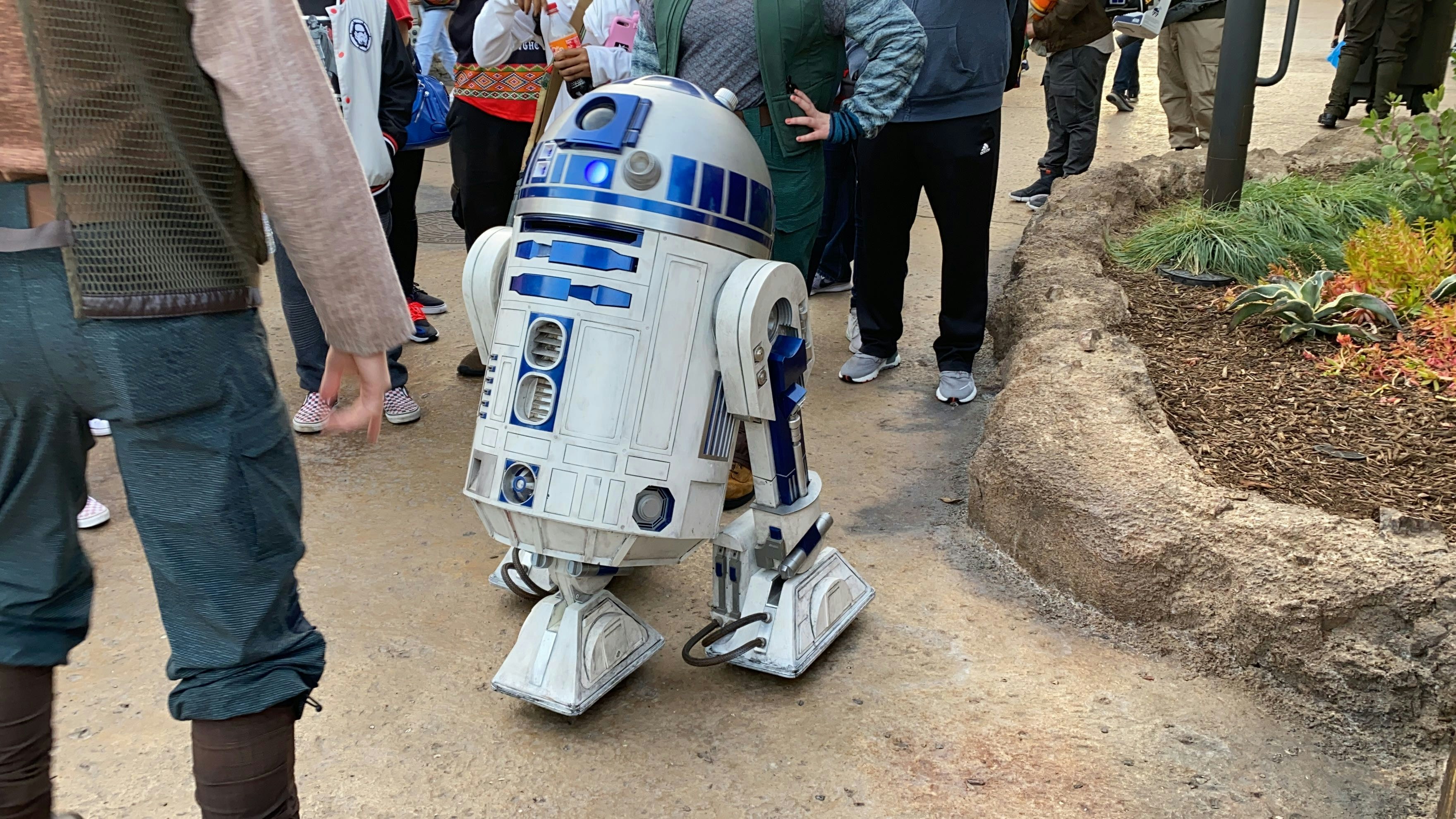 r2d2 droid testing disneyland jan 2020 13.jpg?auto=compress%2Cformat&ixlib=php 1.2