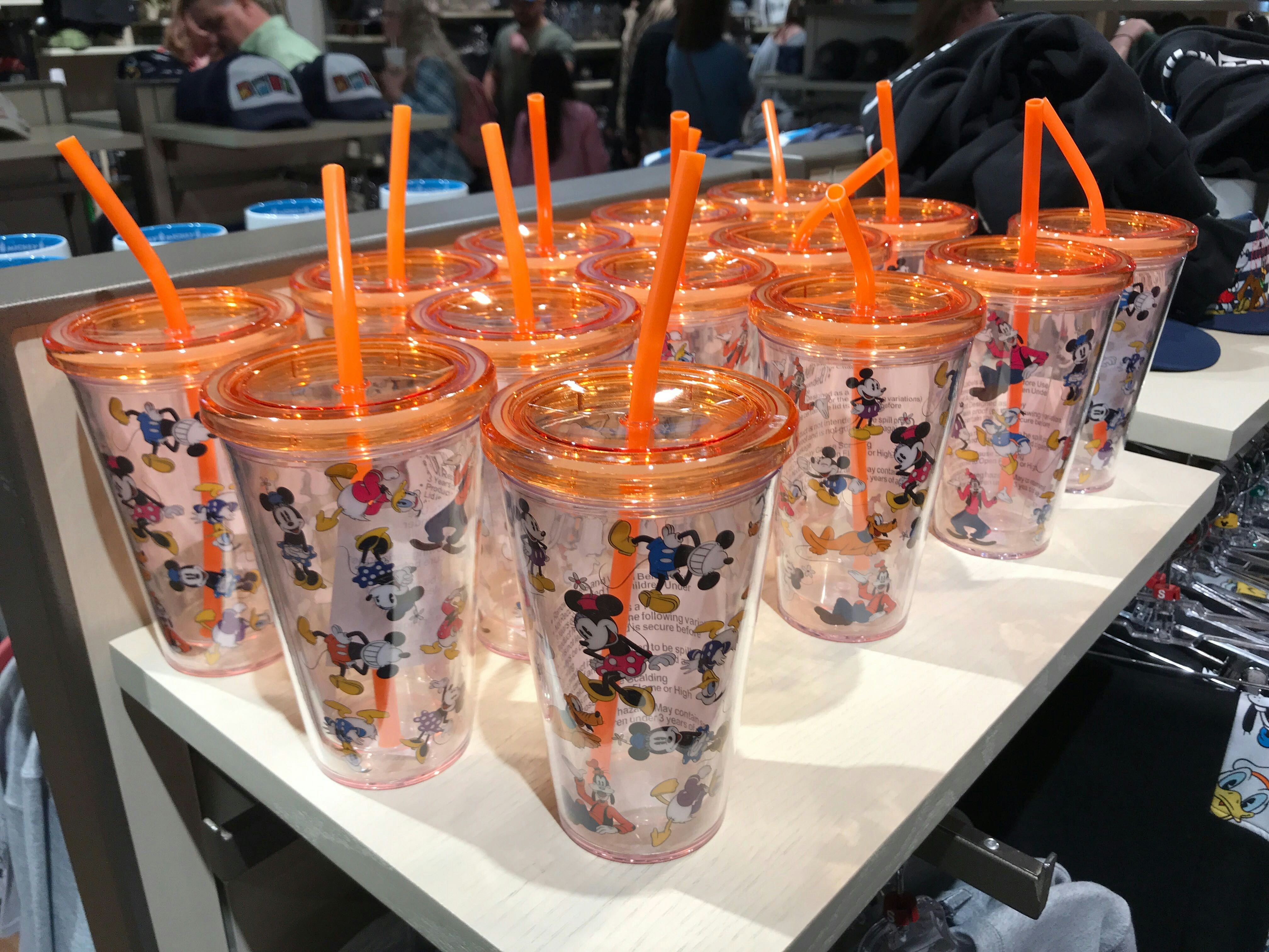 Disney Tumbler w/ Straw - Rainbow Disney - Walt Disney World 2020