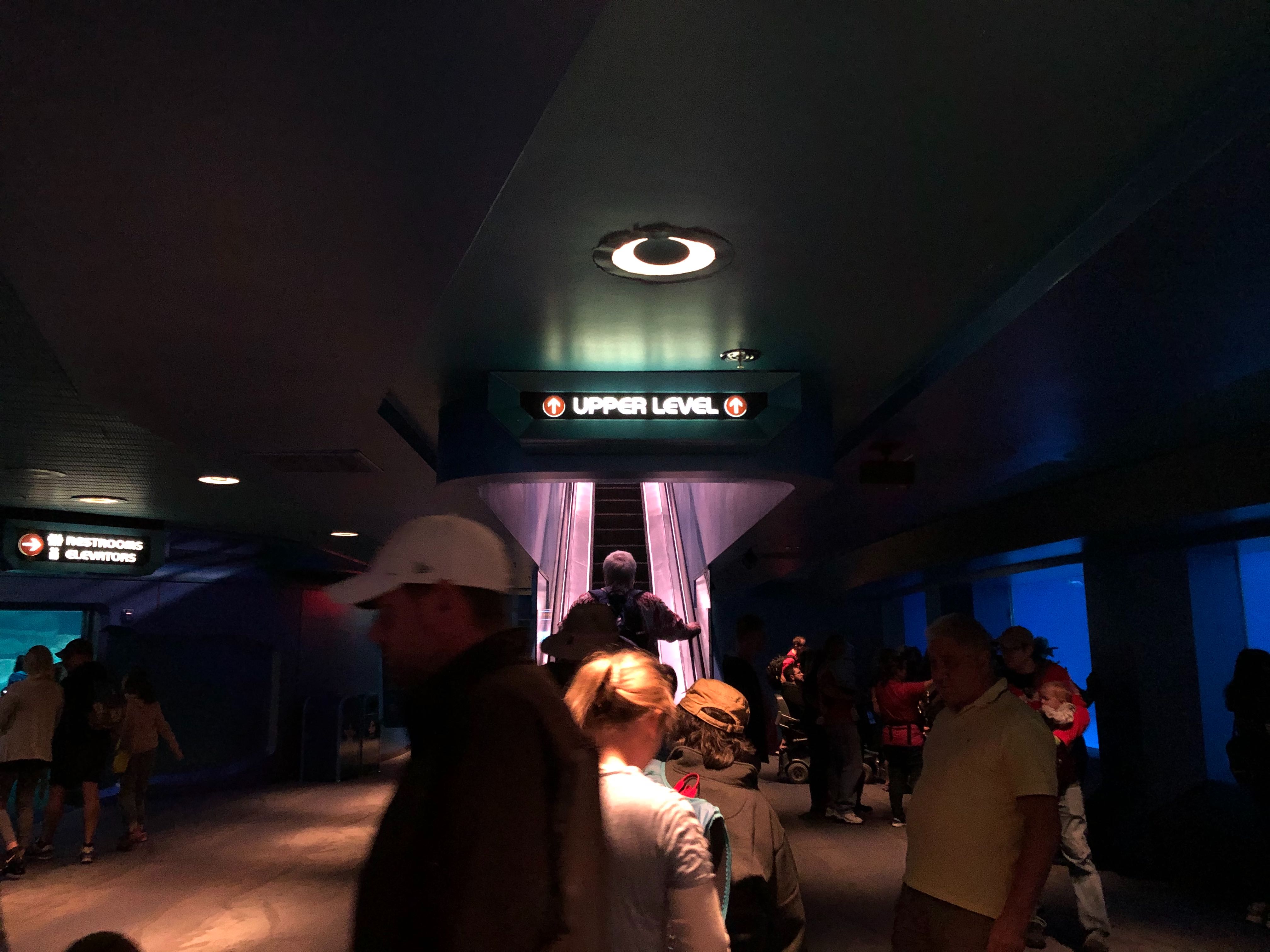 the-seas-new-signage-01-26-2020-1.jpg