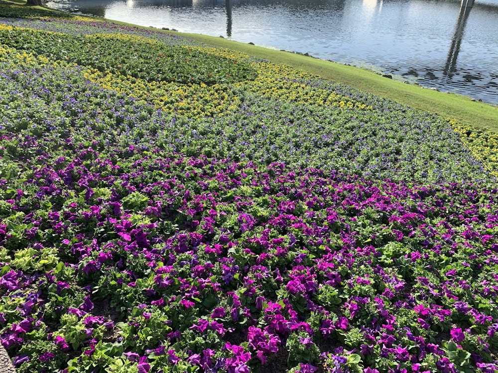 06 021820 Epcot Flower and Garden Prep.jpeg?auto=compress%2Cformat&fit=scale&h=750&ixlib=php 1.2