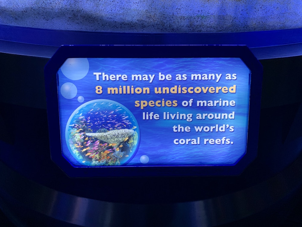 17 021220 Epcot The Seas Trivia 2.jpeg?auto=compress%2Cformat&fit=scale&h=750&ixlib=php 1.2