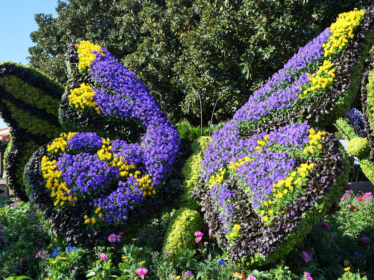 Butterfly Topiary