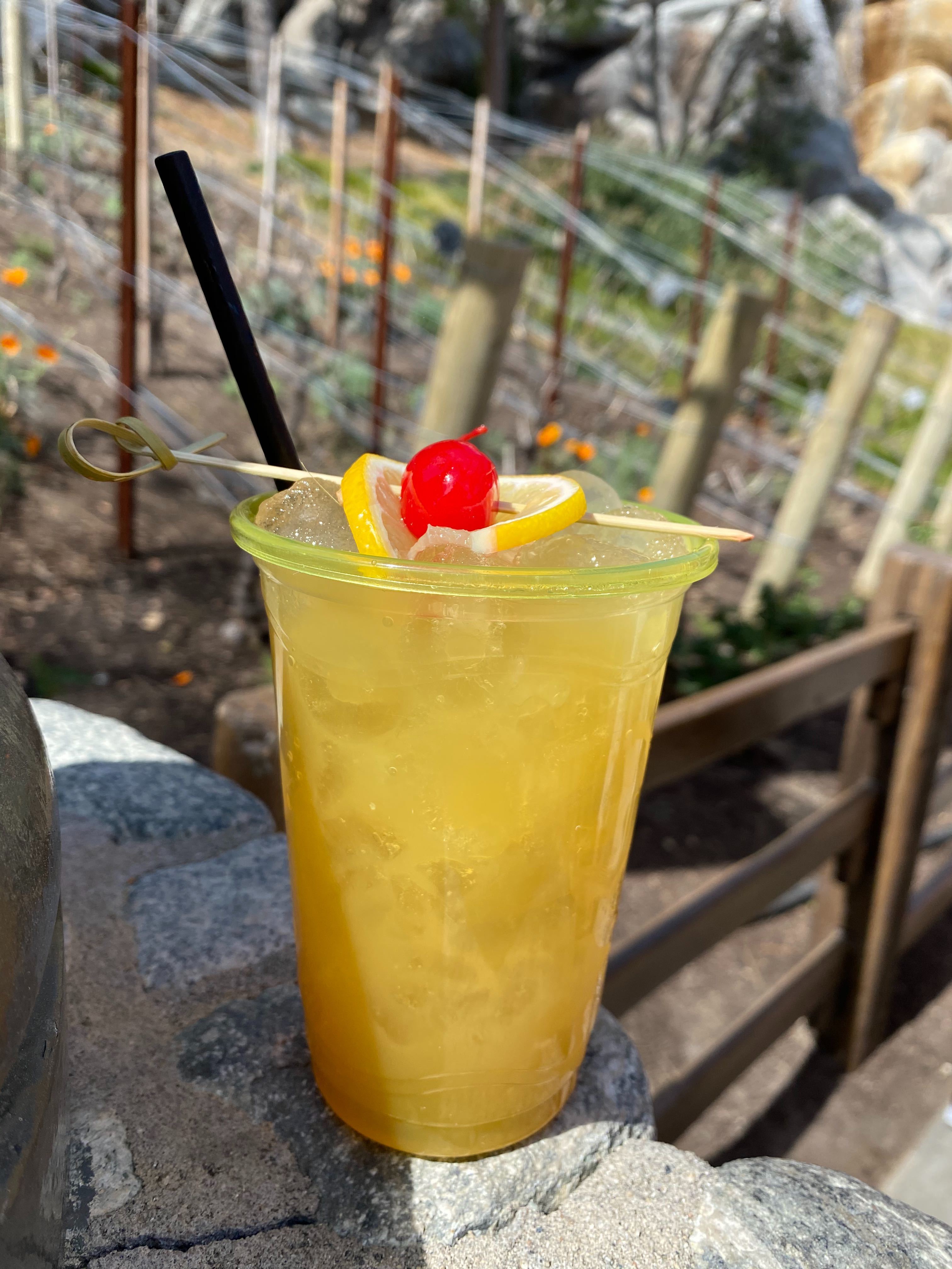 REVIEW: Plant-Based Cheeseburger Mac and Honey Bourbon ...