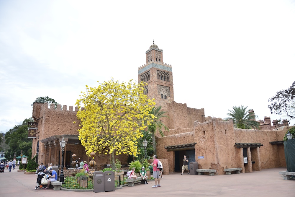 EPCOT Photo Report 2 25 20 morocco flowers.JPG?auto=compress%2Cformat&fit=scale&h=667&ixlib=php 1.2