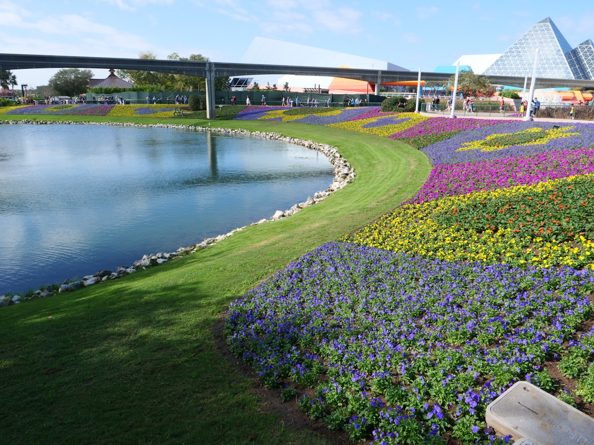 New Flowers at Epcot