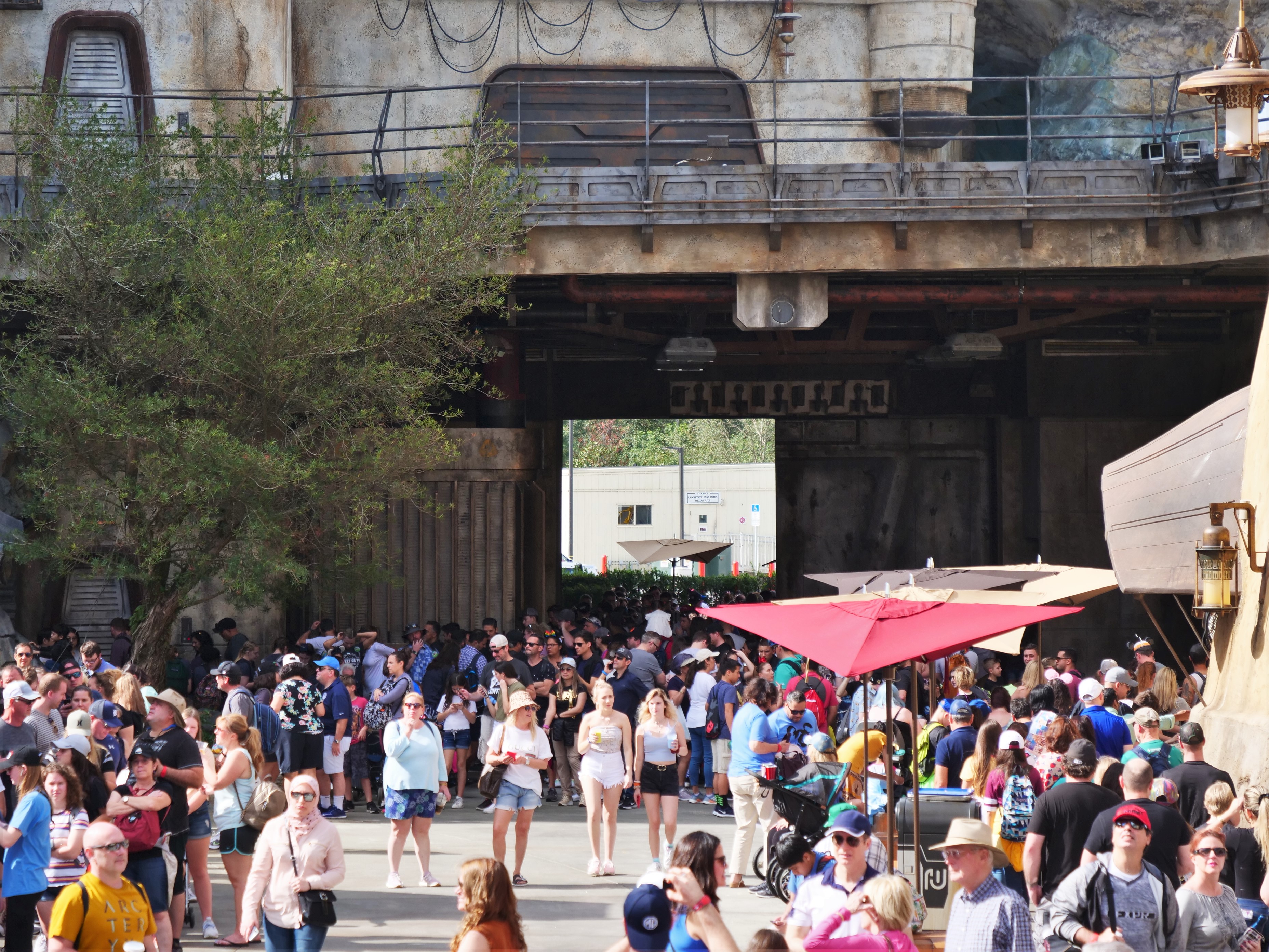 Galaxy's Edge Crowds