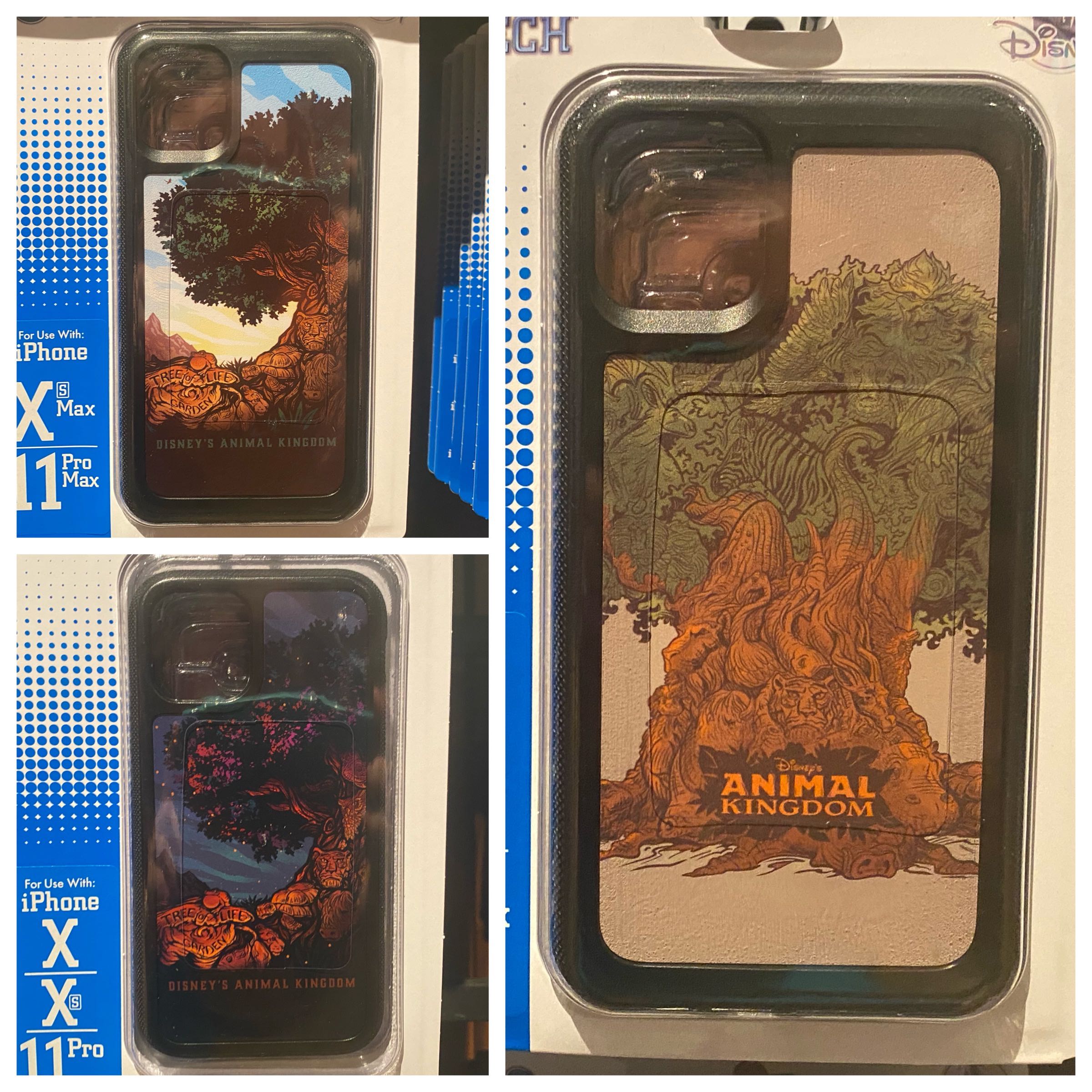 PHOTO REPORT: Disney's Animal Kingdom 2/10/20 (Entrance Construction