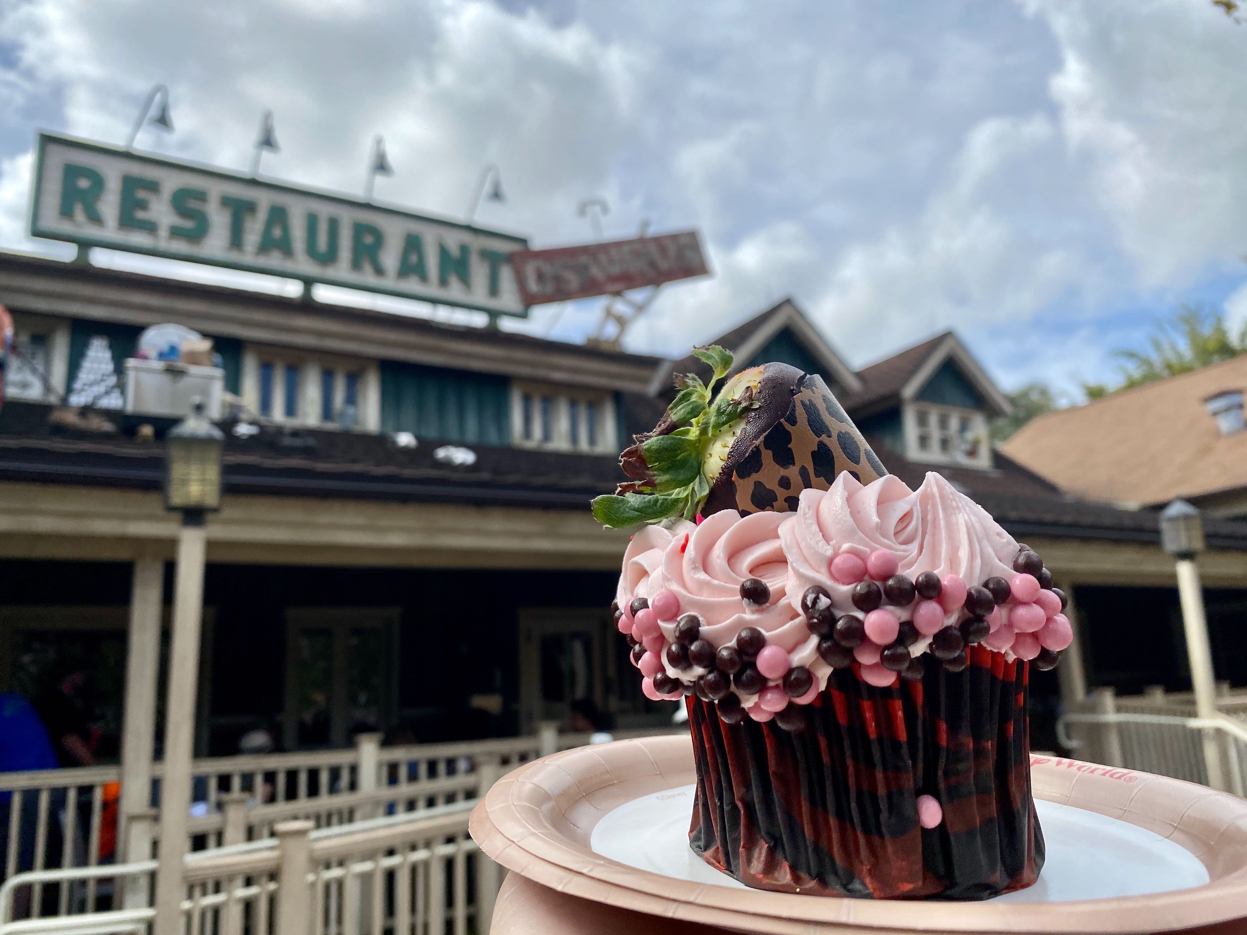 valentines day cupcake animal kingdom