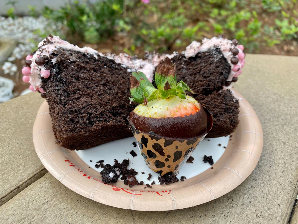 valentines day cupcake animal kingdom