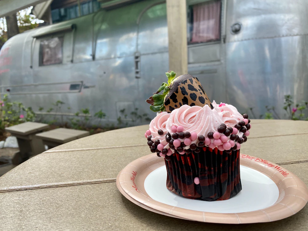 valentines day cupcake animal kingdom