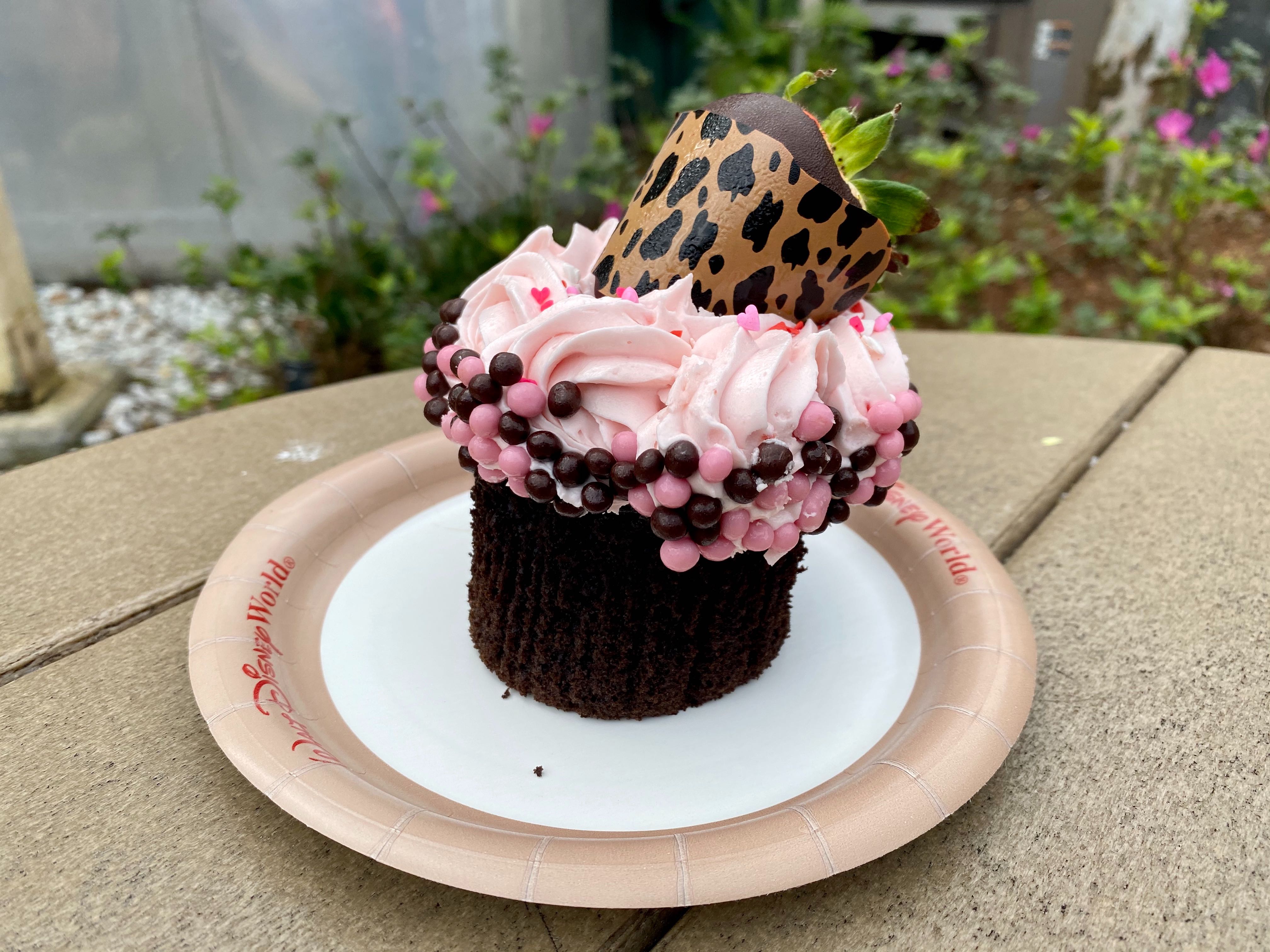 valentines day cupcake animal kingdom