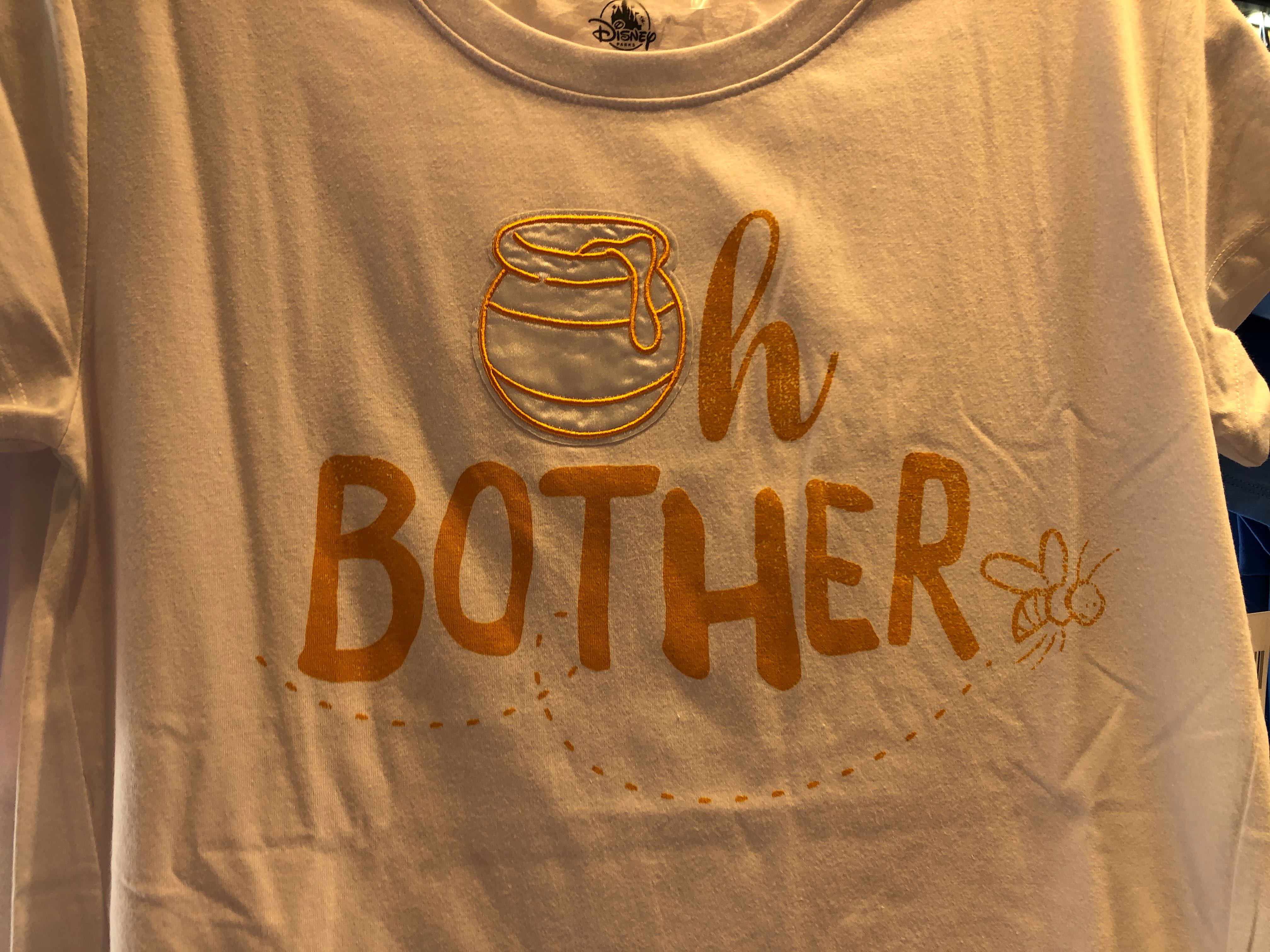 winnie the pooh and birds disney world 02-02-2020 1