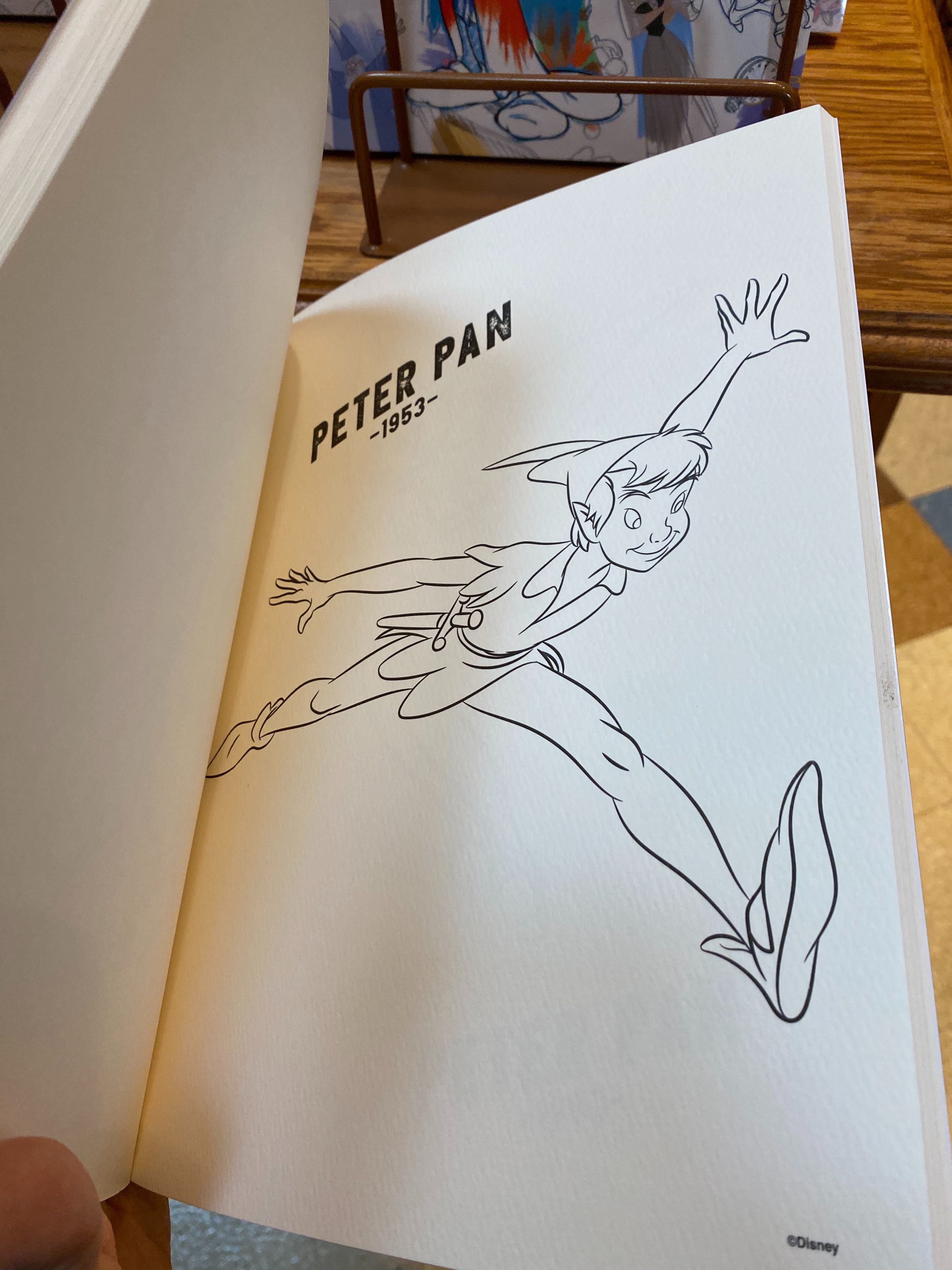 PHOTOS New Ink & Paint Watercoloring Book Adds a Splash of Color at